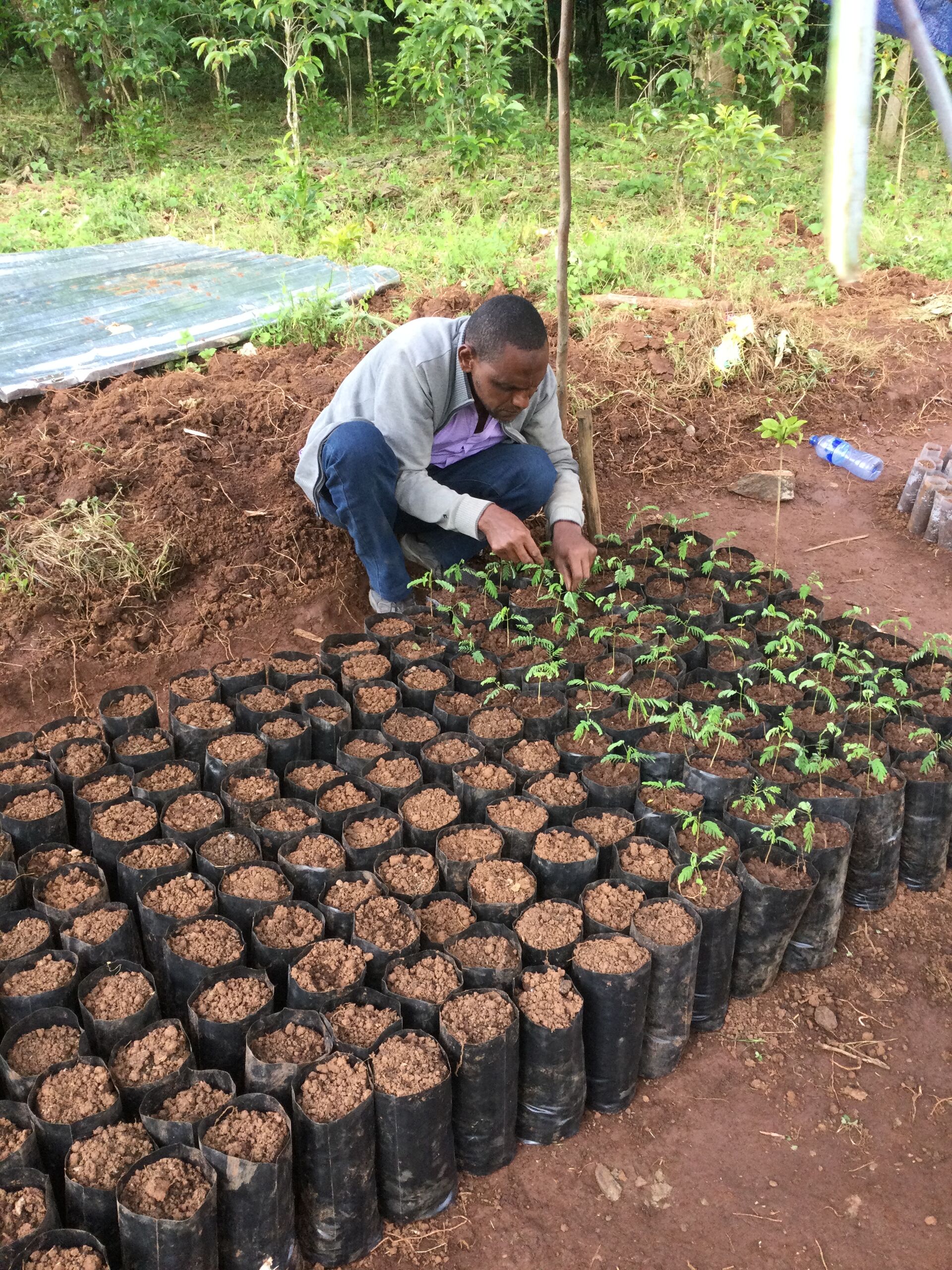 Nazimu Abamecha (11).jpg