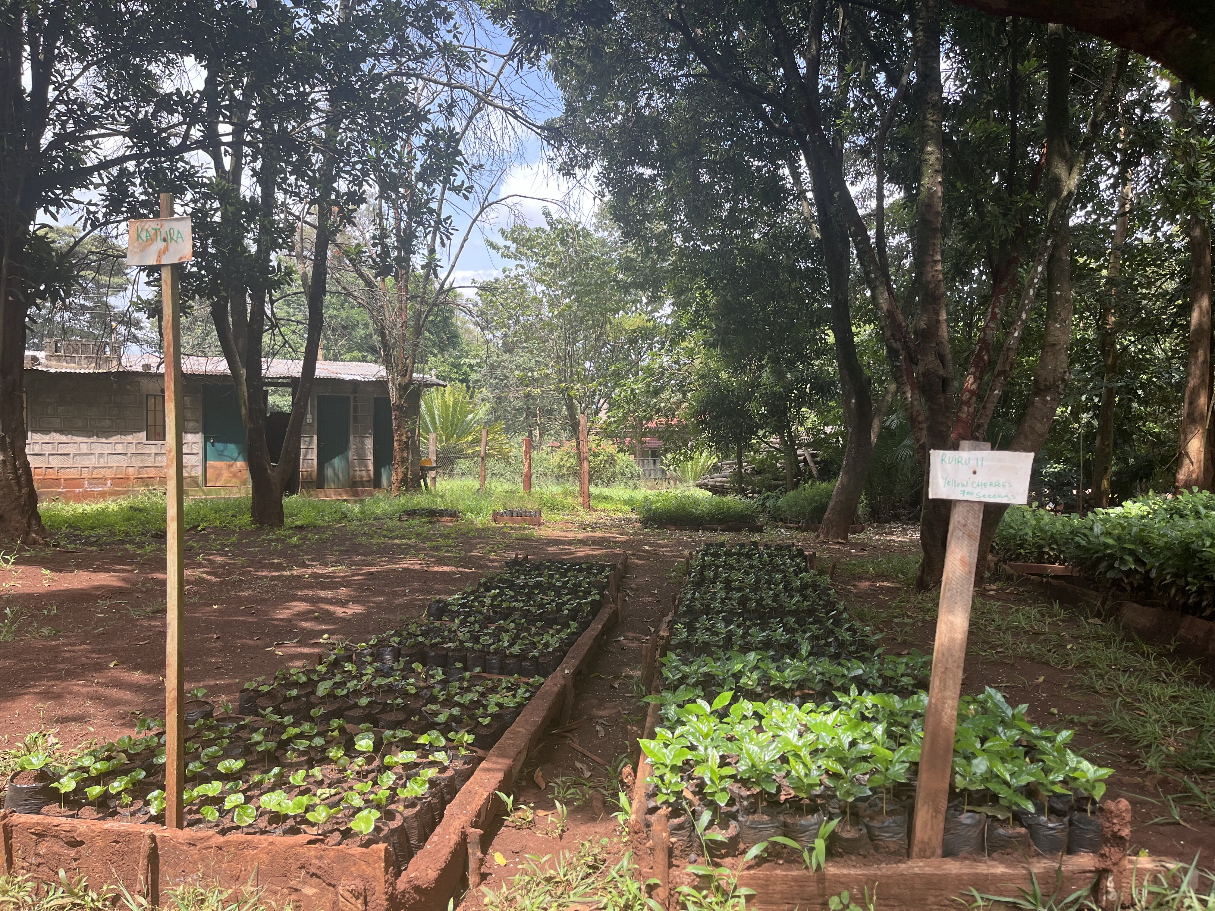 Chania_2025 (12).jpeg