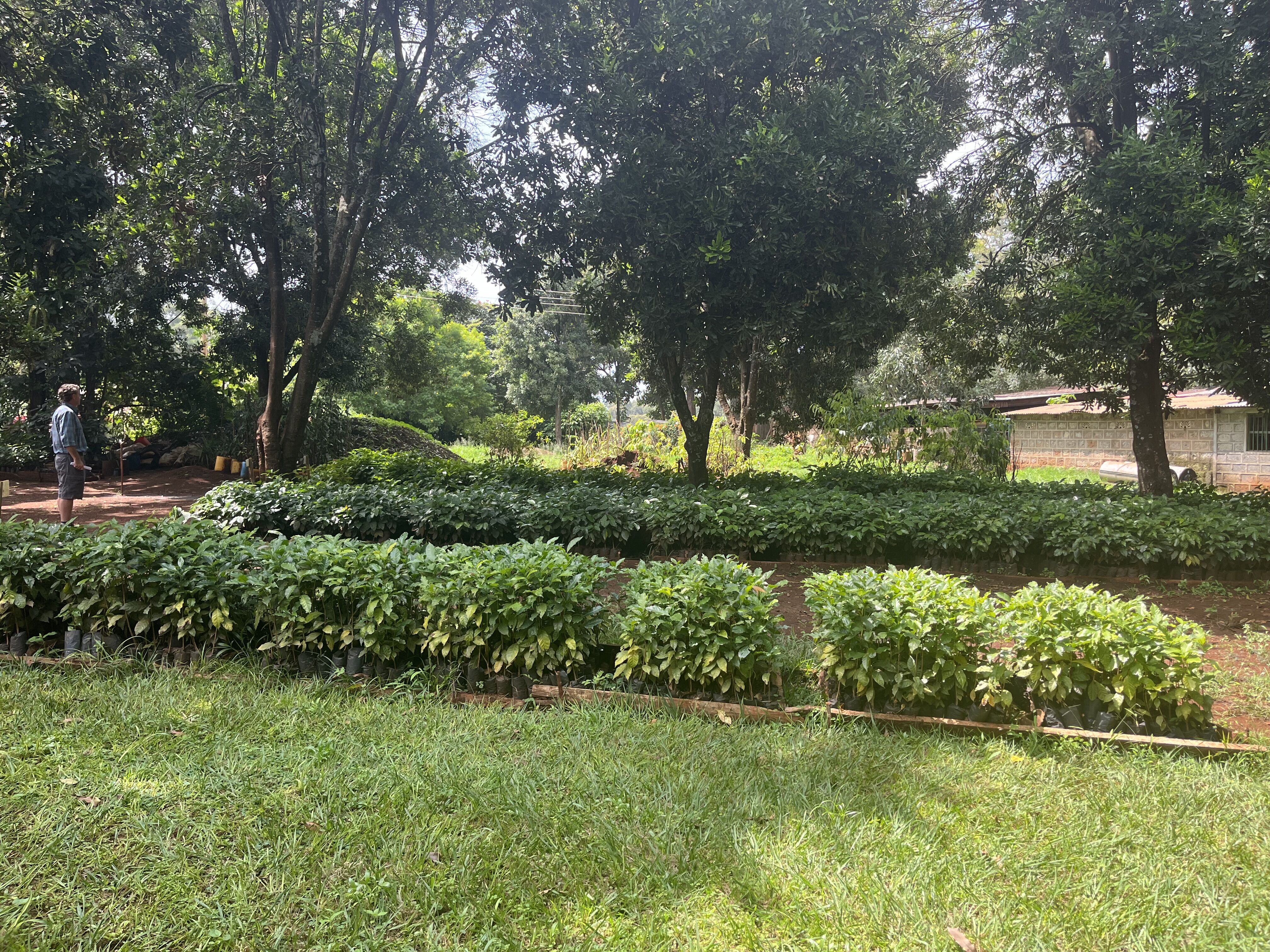 Chania_2025 (14).jpeg