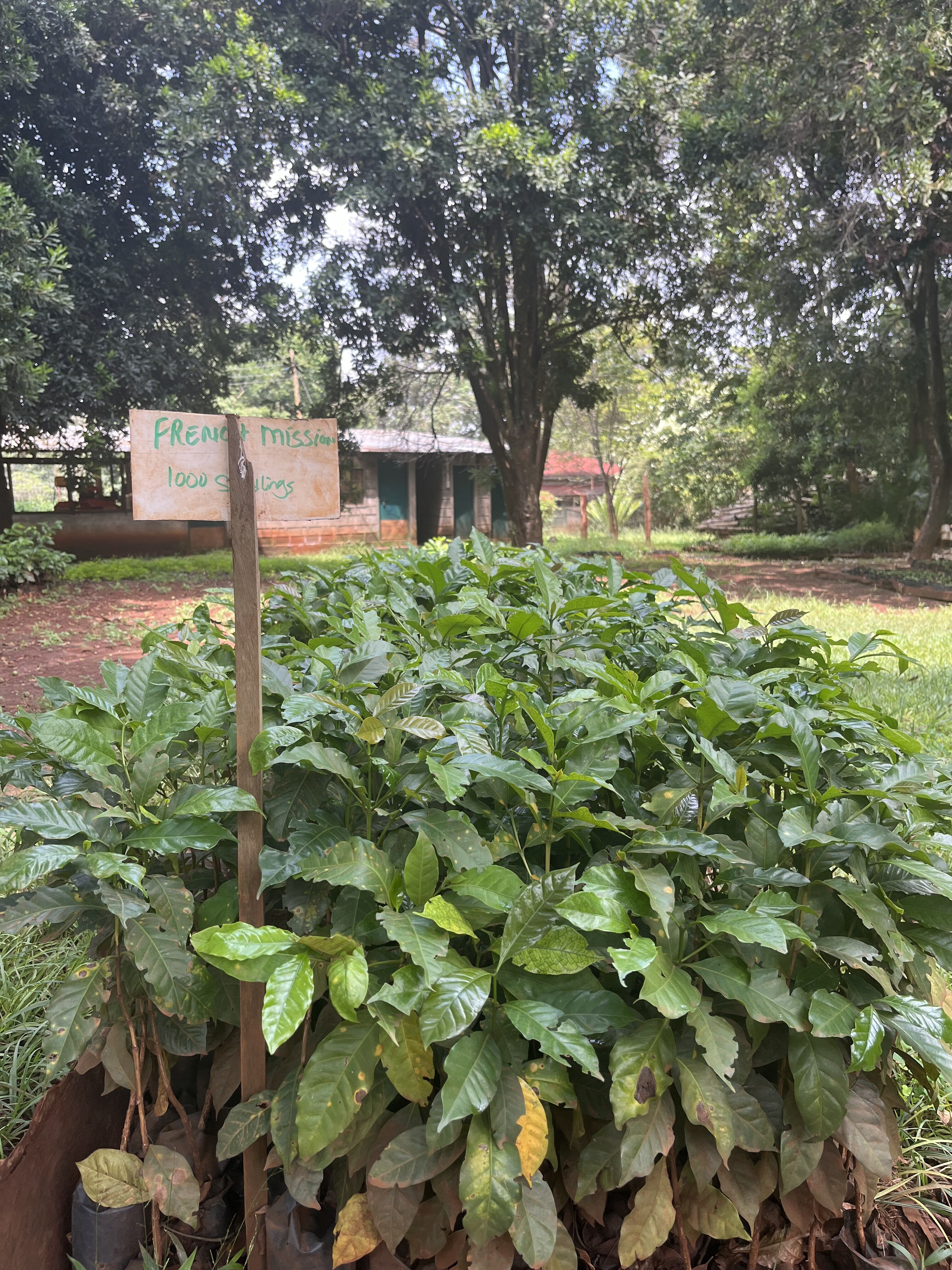 Chania_2025 (15).jpeg