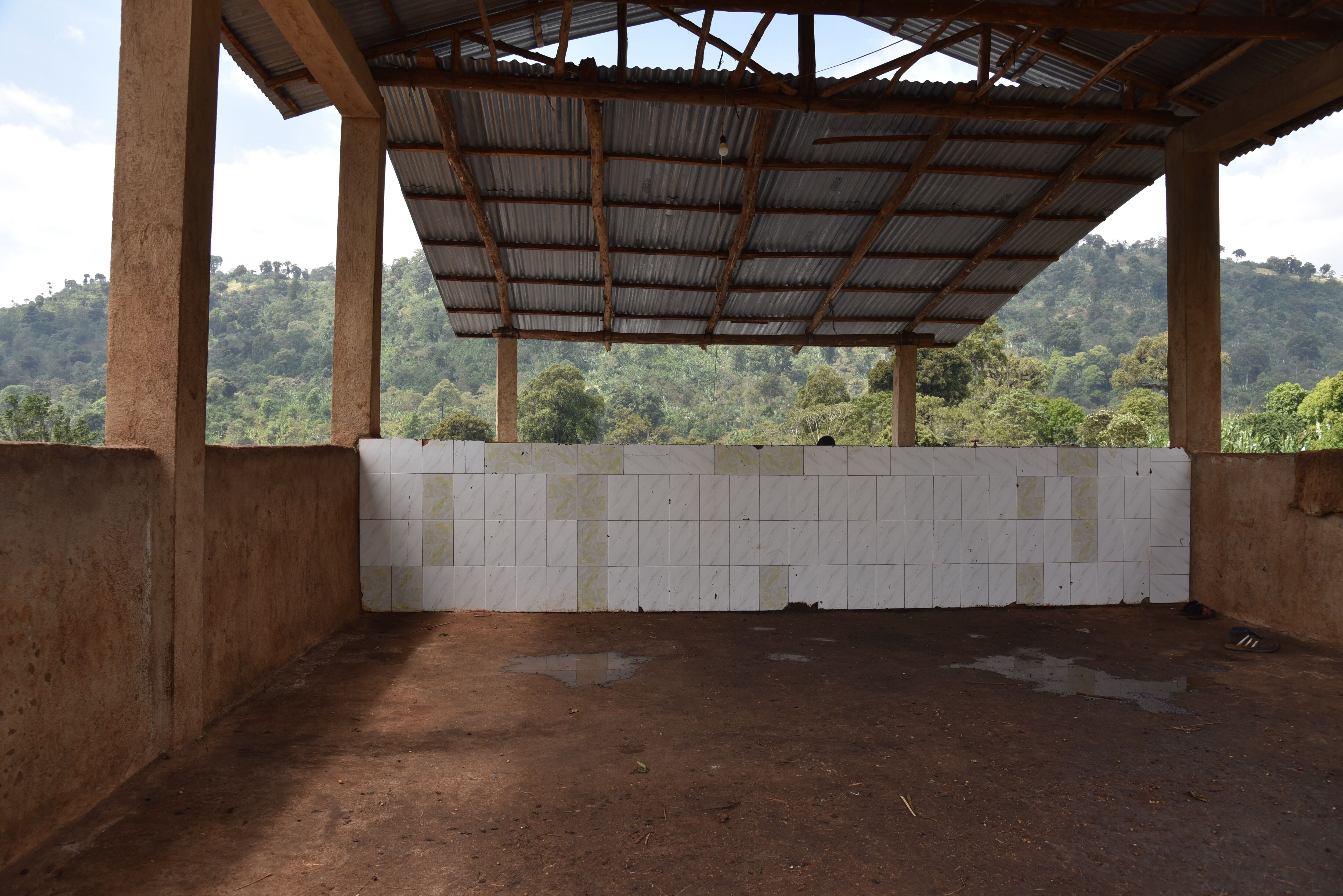 Chelbessa_SNAP (1).jpg