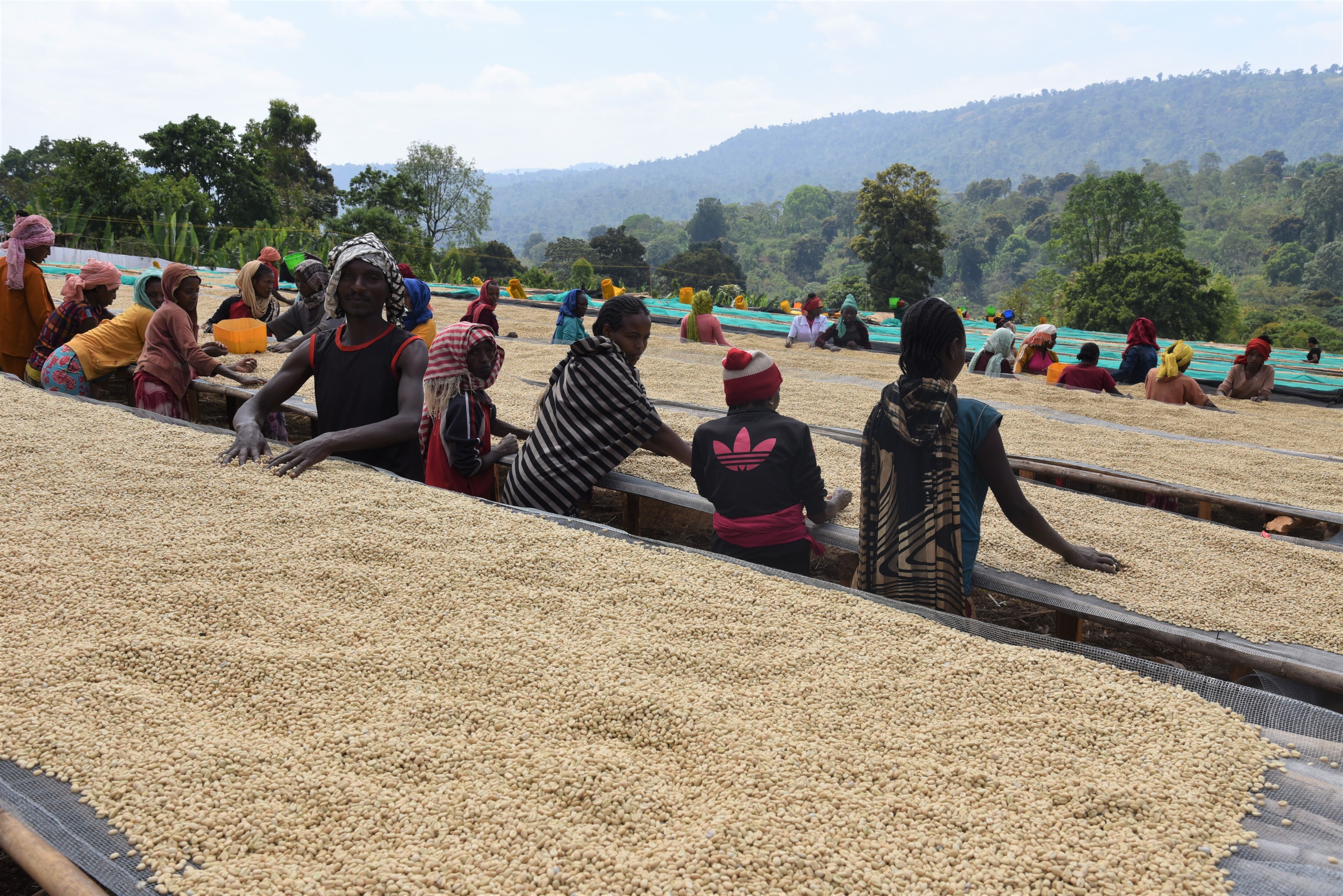 Chelbessa_SNAP (4).jpg