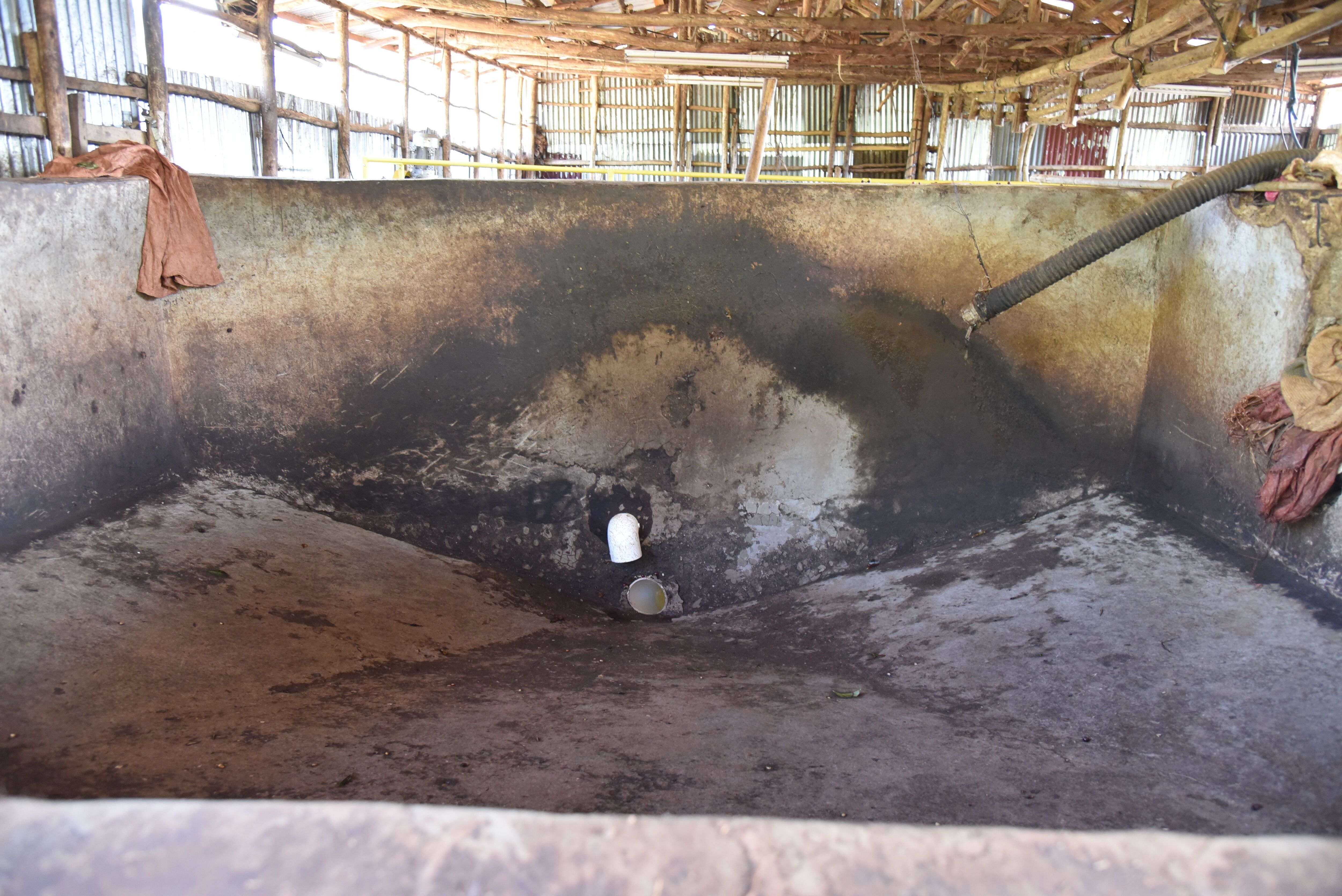 METAD- Gedeb - Dec 2021 - Hopper.jpg