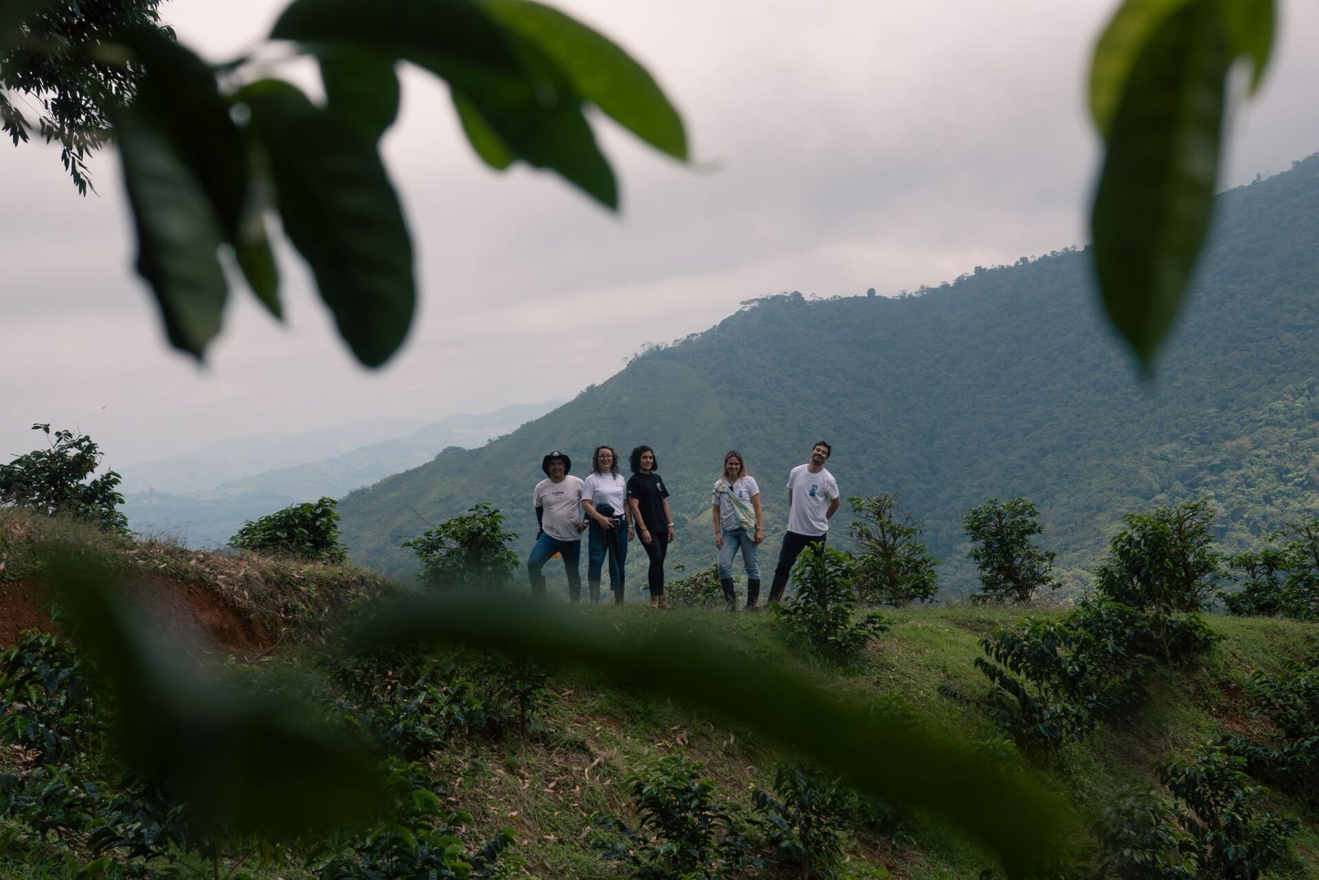 Café granja la Esperanza (1).jpg