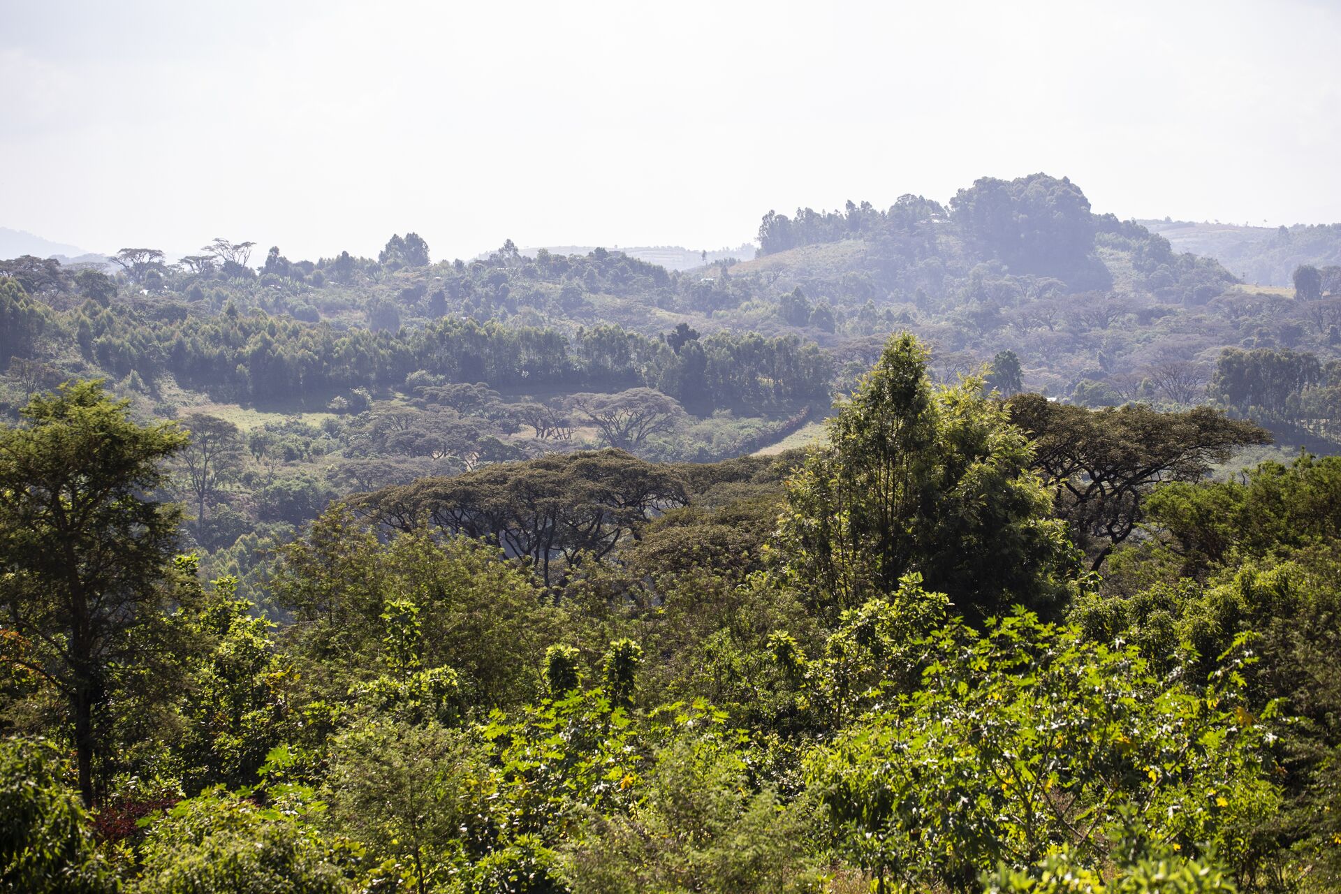 2018.12.05_Goma, Gchiimo,_Khalid-10.jpg