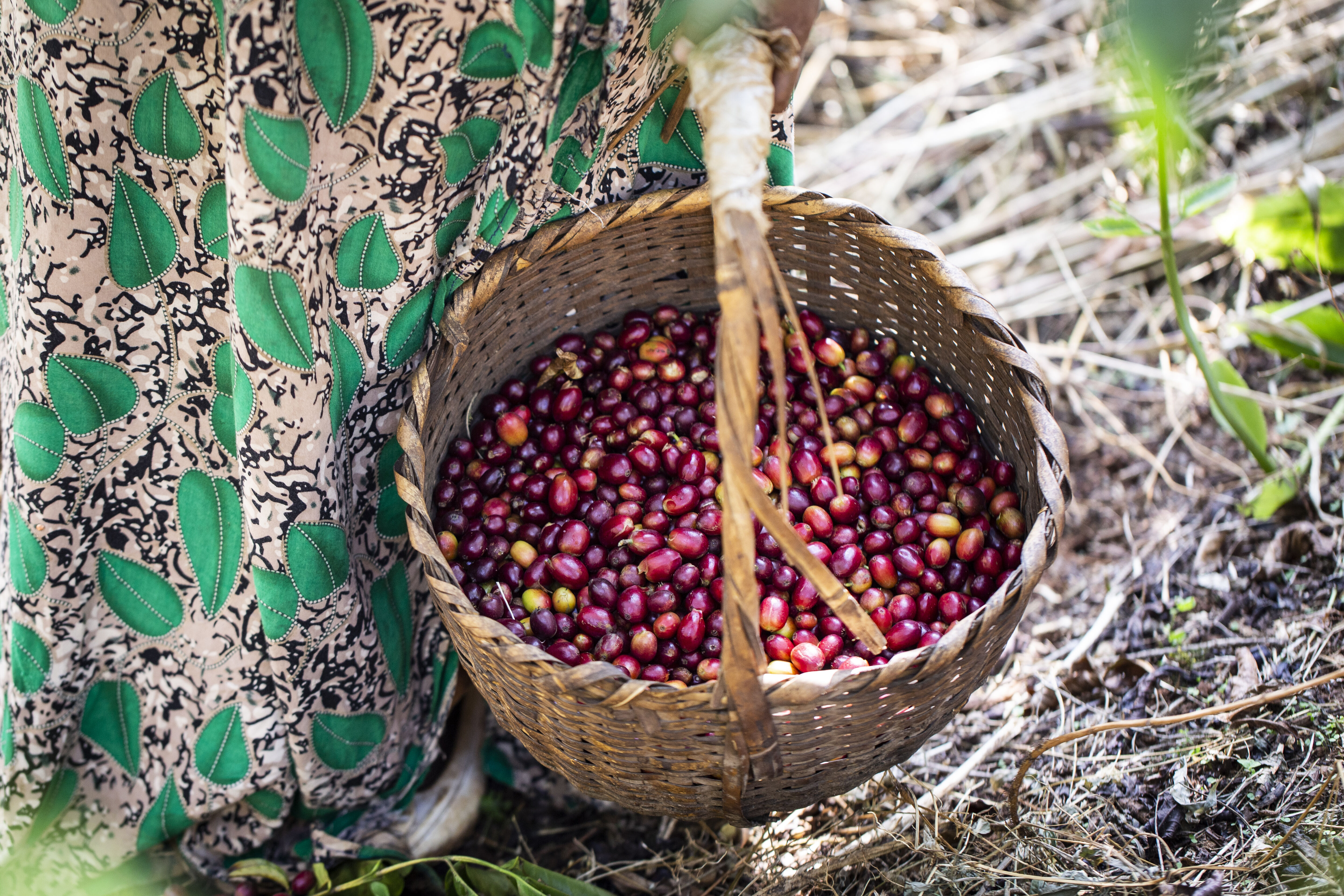 2018.12.05_Goma, Gchiimo,_Khalid-14.jpg