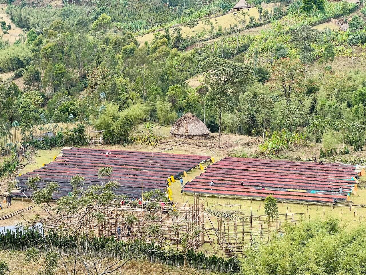 ethiopia---dwd---chancho-washing-station_52312104616_o.jpg