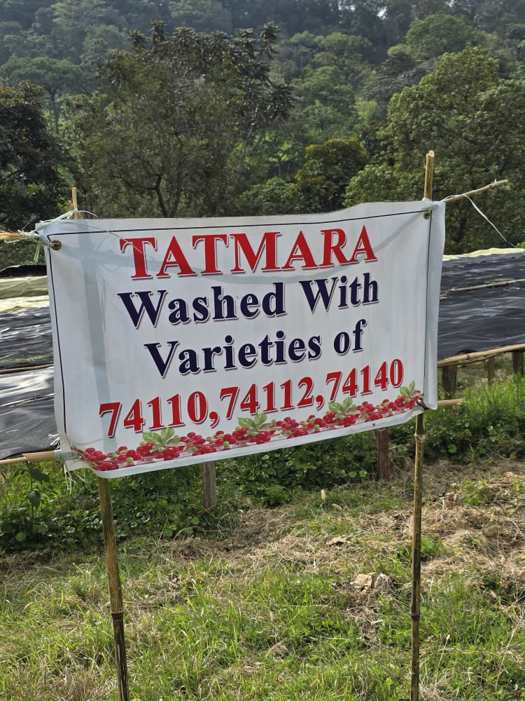 tatmara 11-2025 (10).jpg