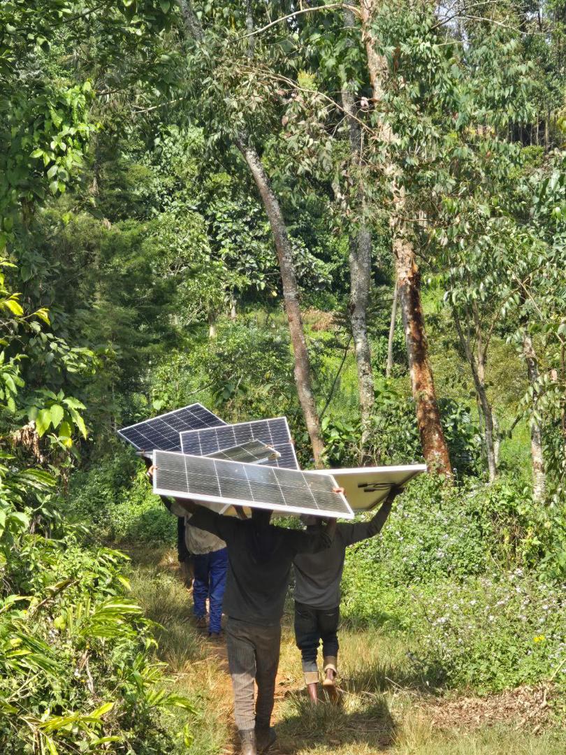 tatmara 11-2025 (3).jpg