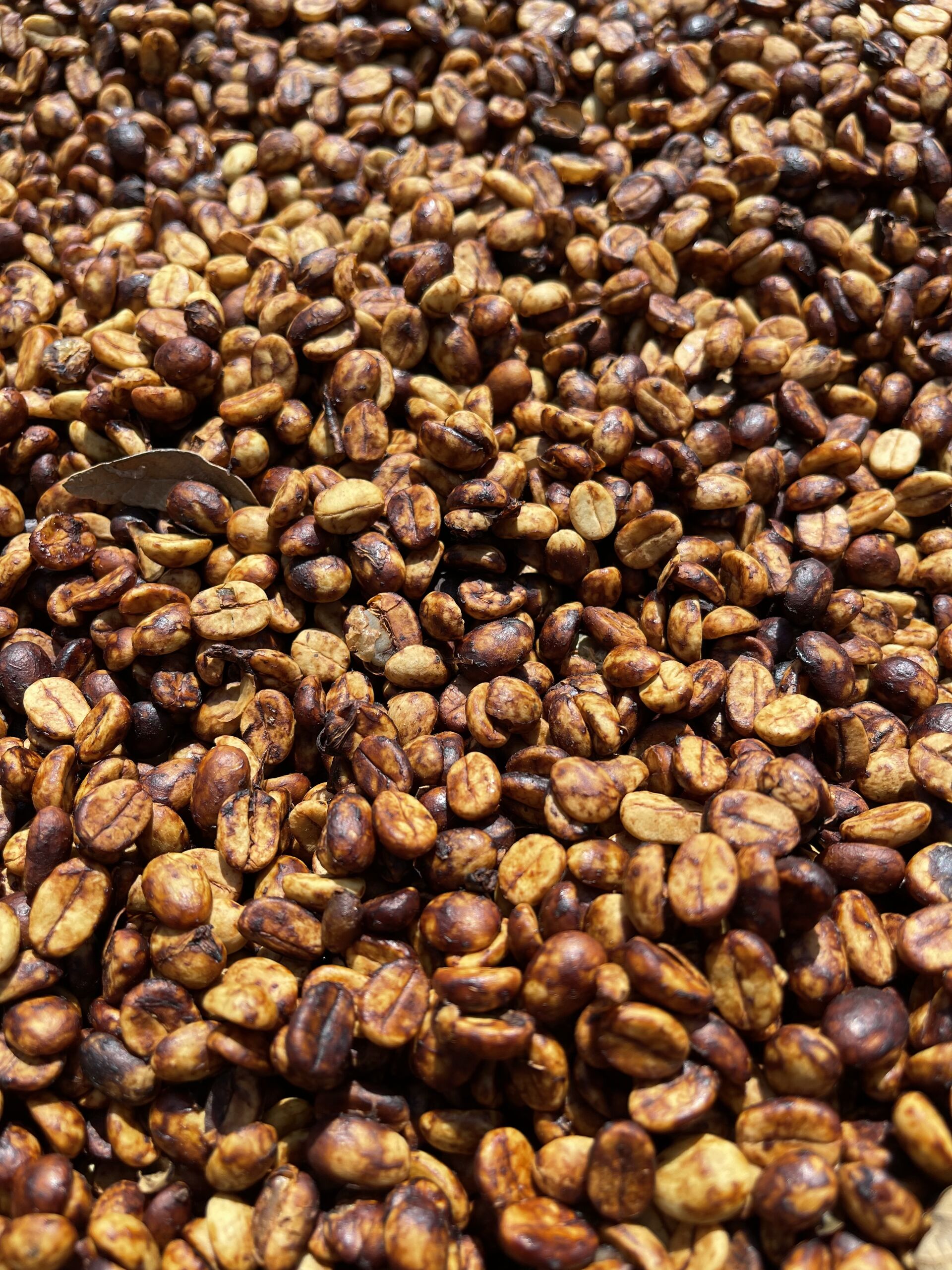 finca-gascon_52828996131_o.jpg