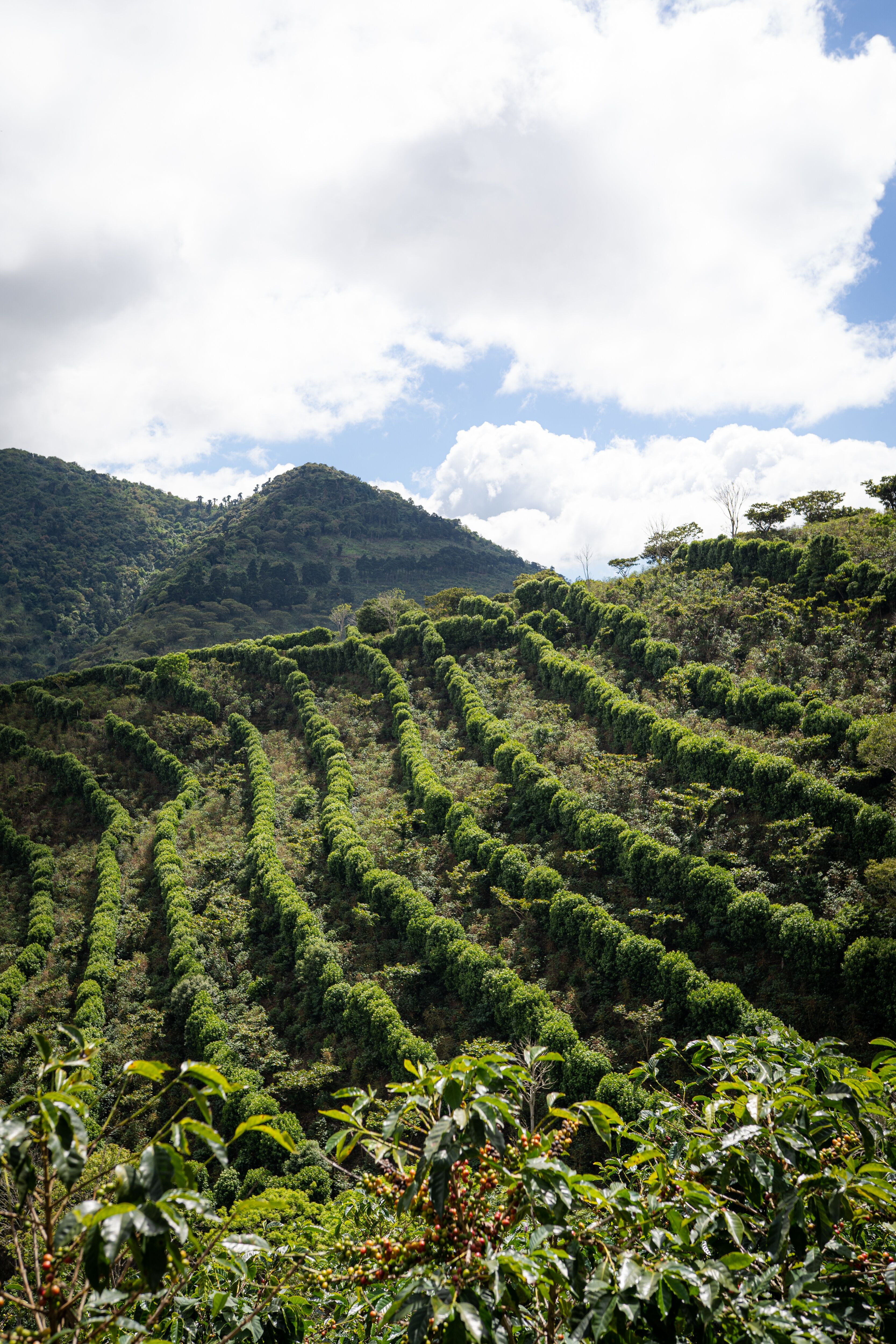 la cumbre_August 23 (10).jpg