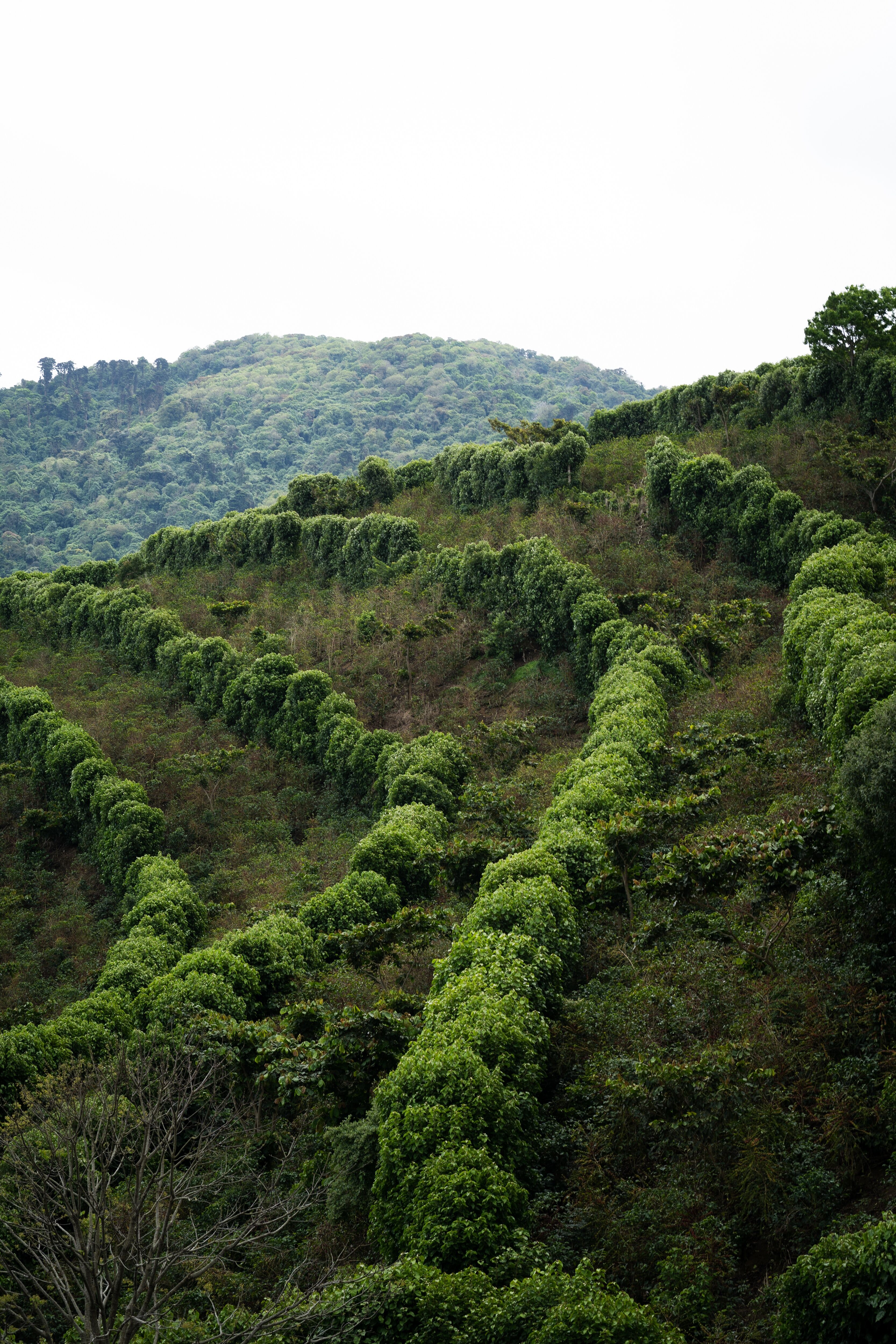 la cumbre_August 23 (3).jpg