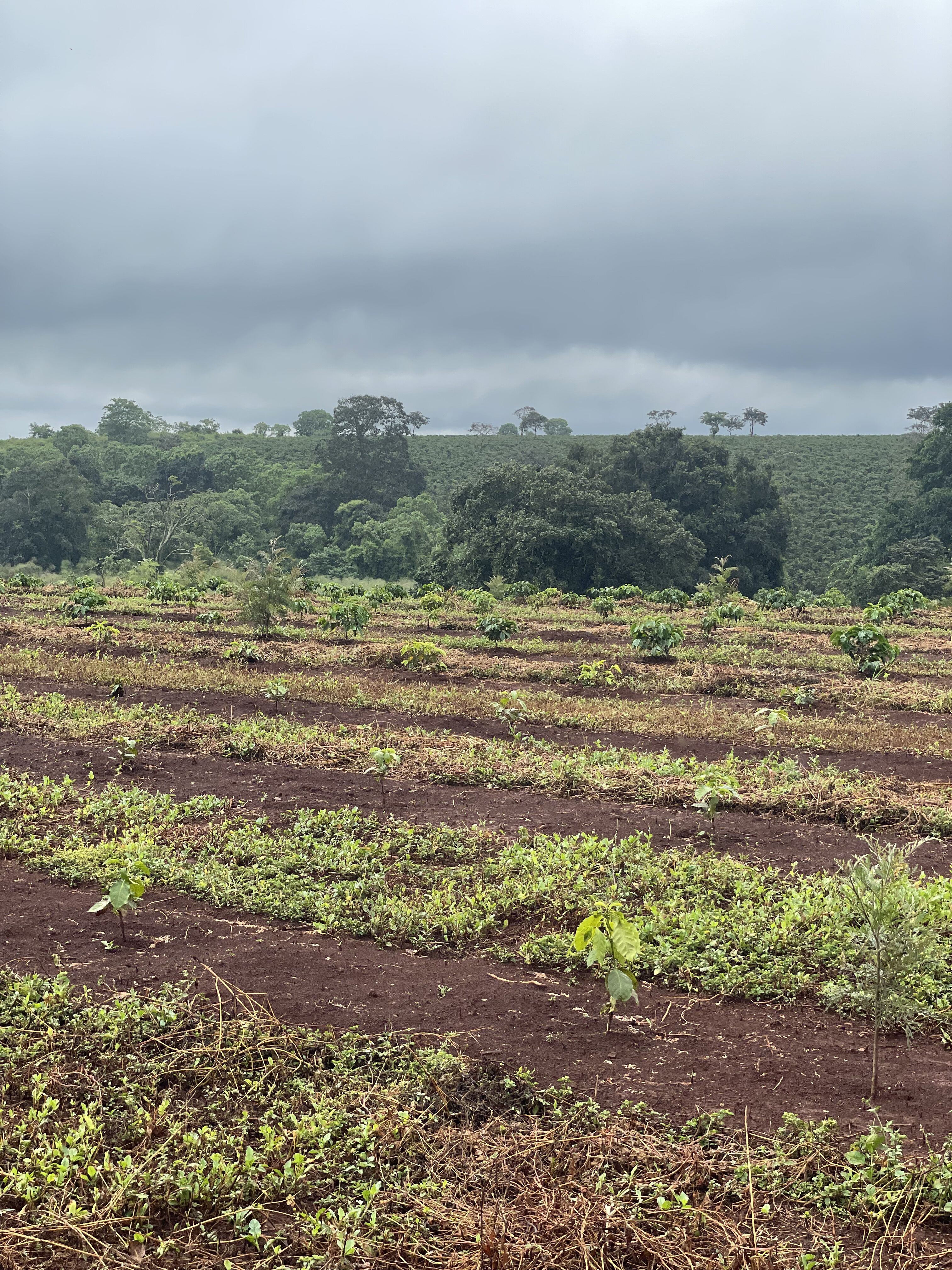 Oreti_DEC 23 (2).JPG