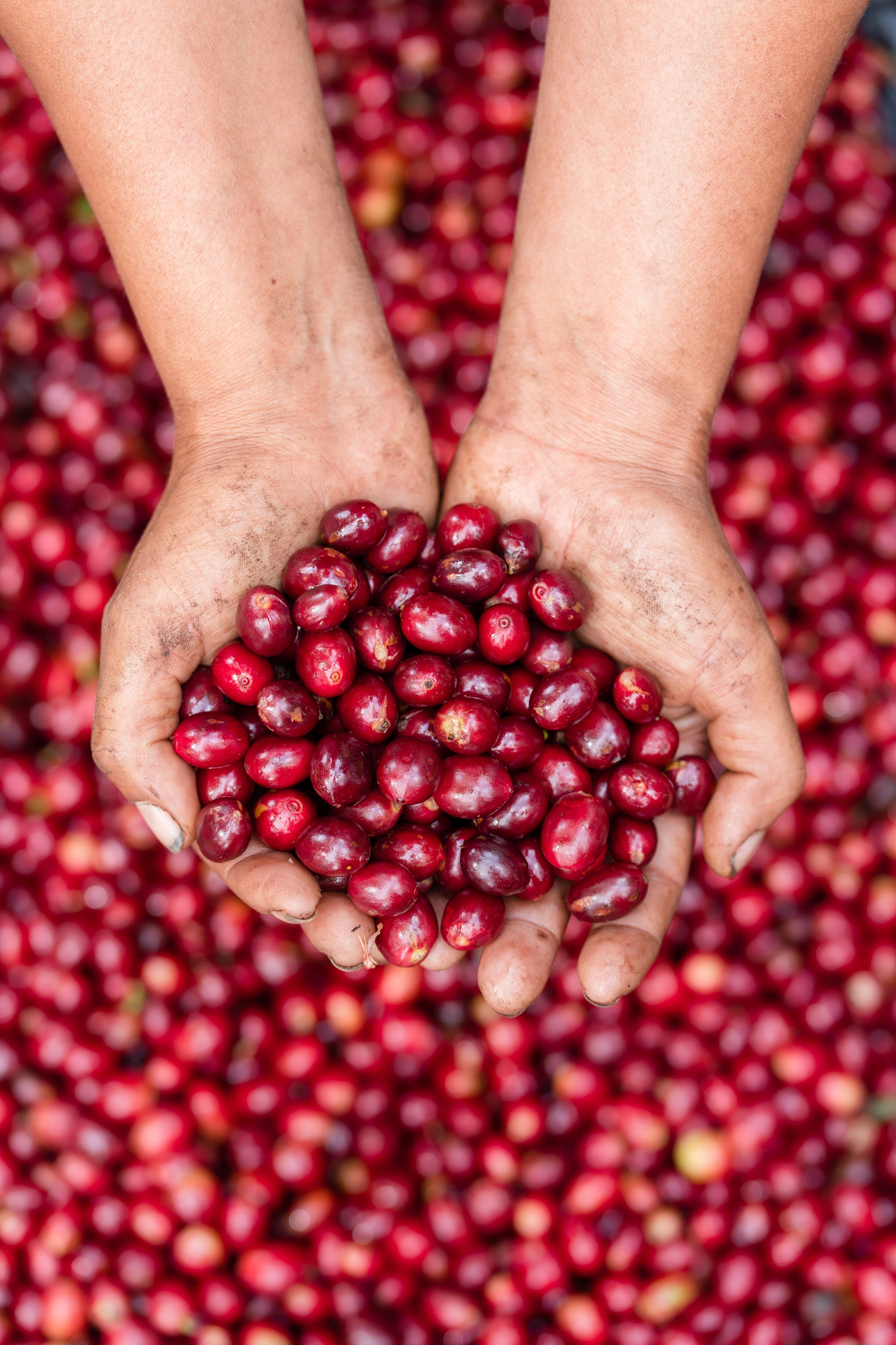 ayutepeque_August 23 (1).JPG