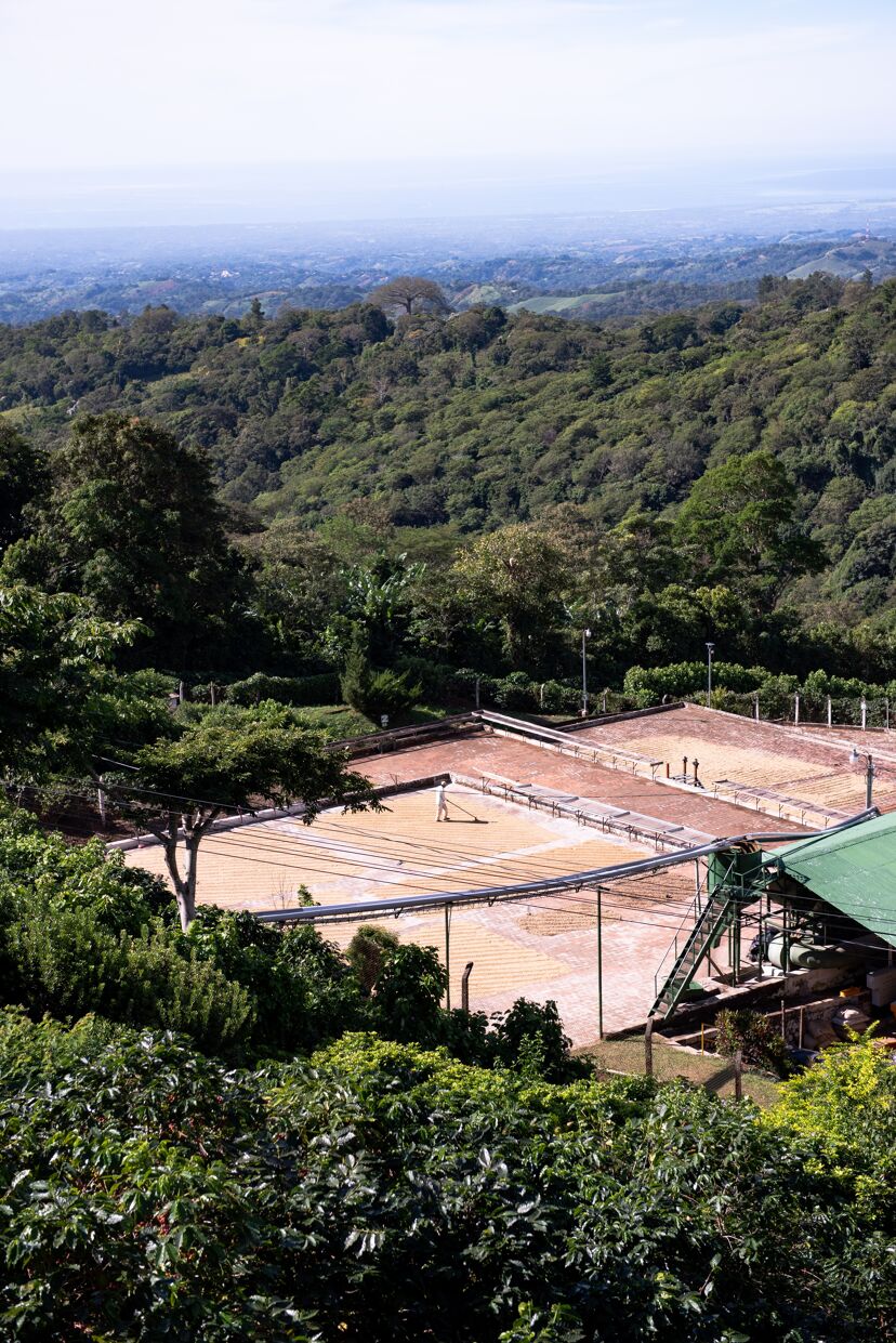 Las Isabellas _ Tequendama Mill-002.jpg