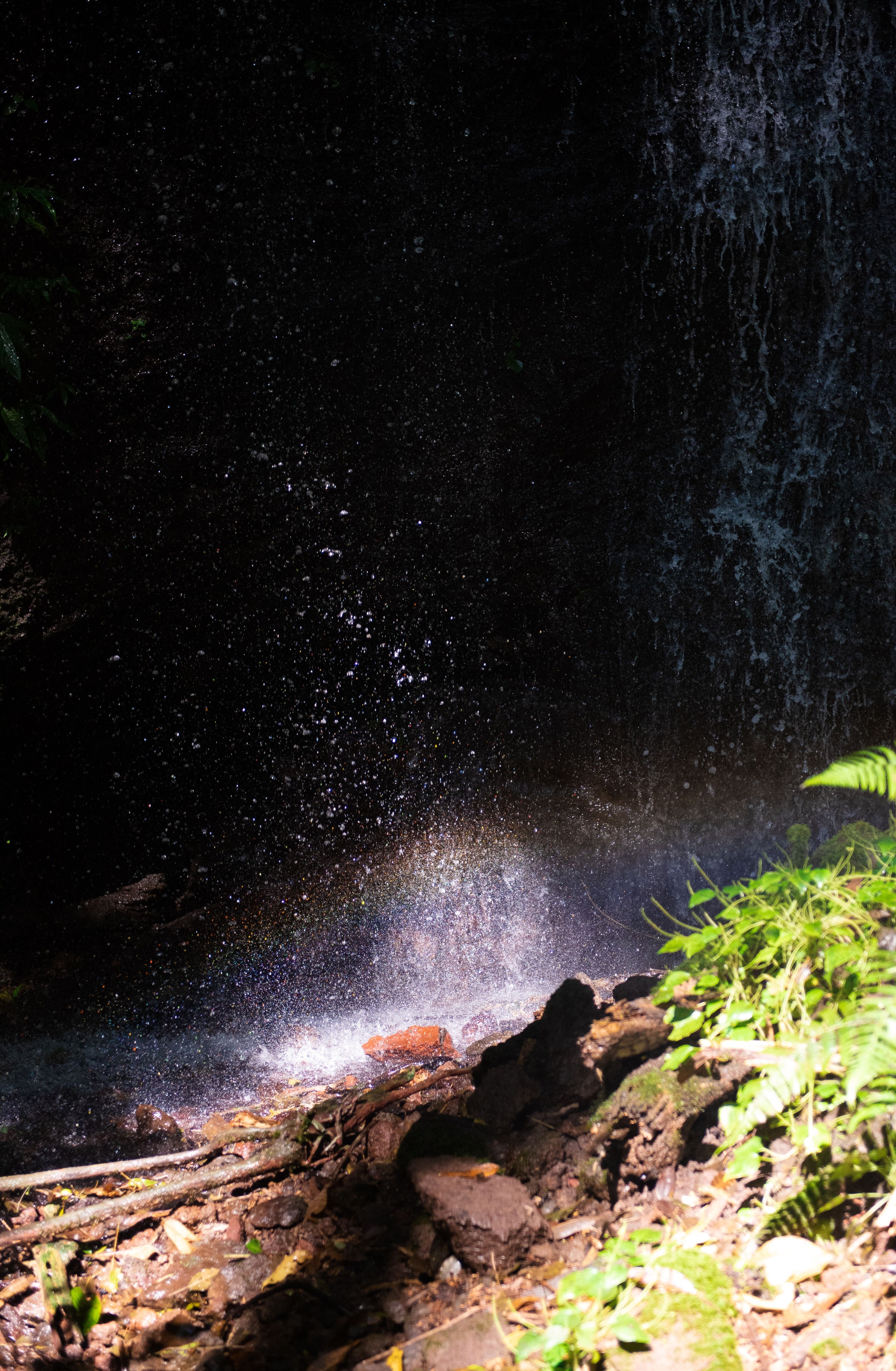 Las Isabellas _ Tequendama Mill-020.jpg