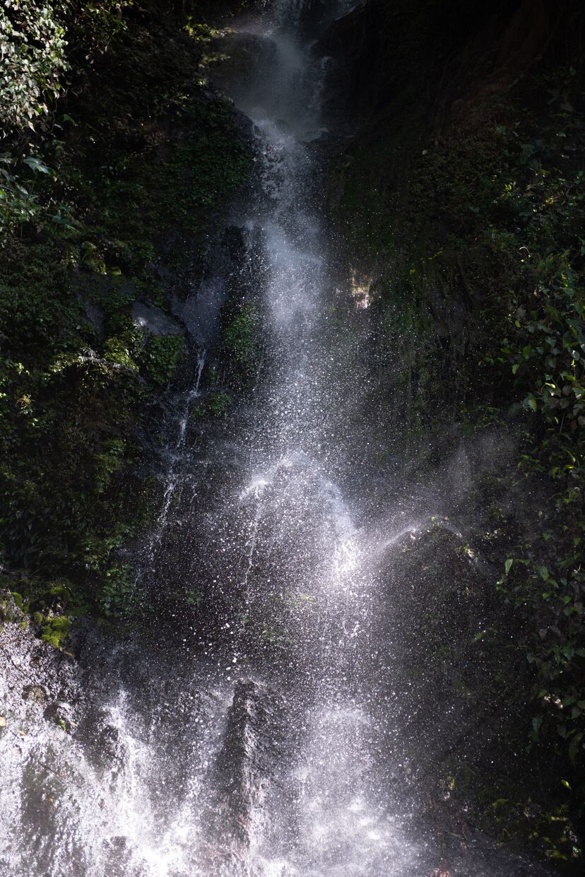 Las Isabellas _ Tequendama Mill-035.jpg