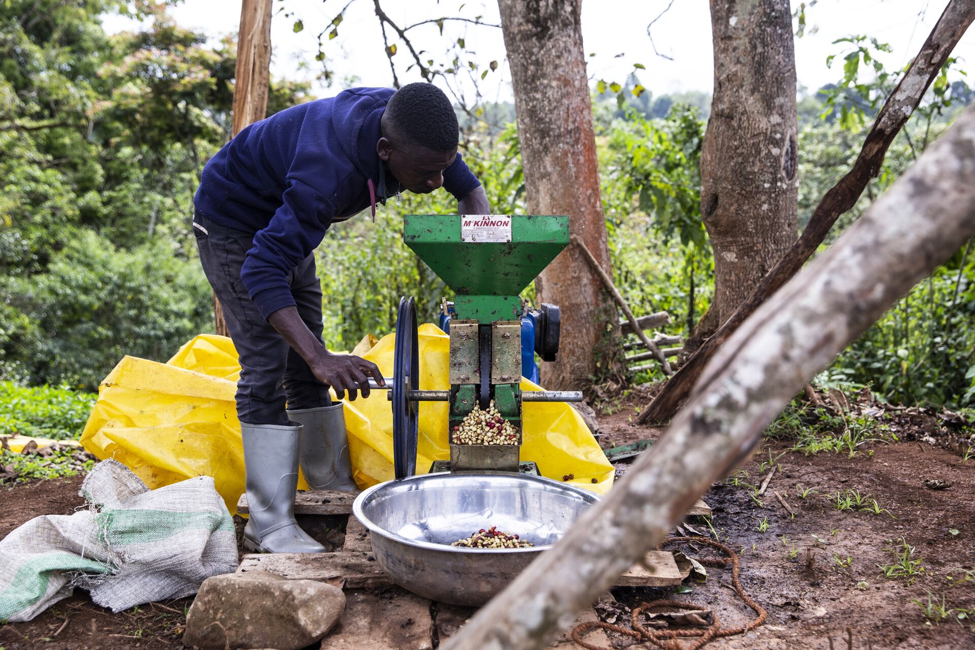 2018.12.11_Bonga_Negussie Tadesse-36.jpg