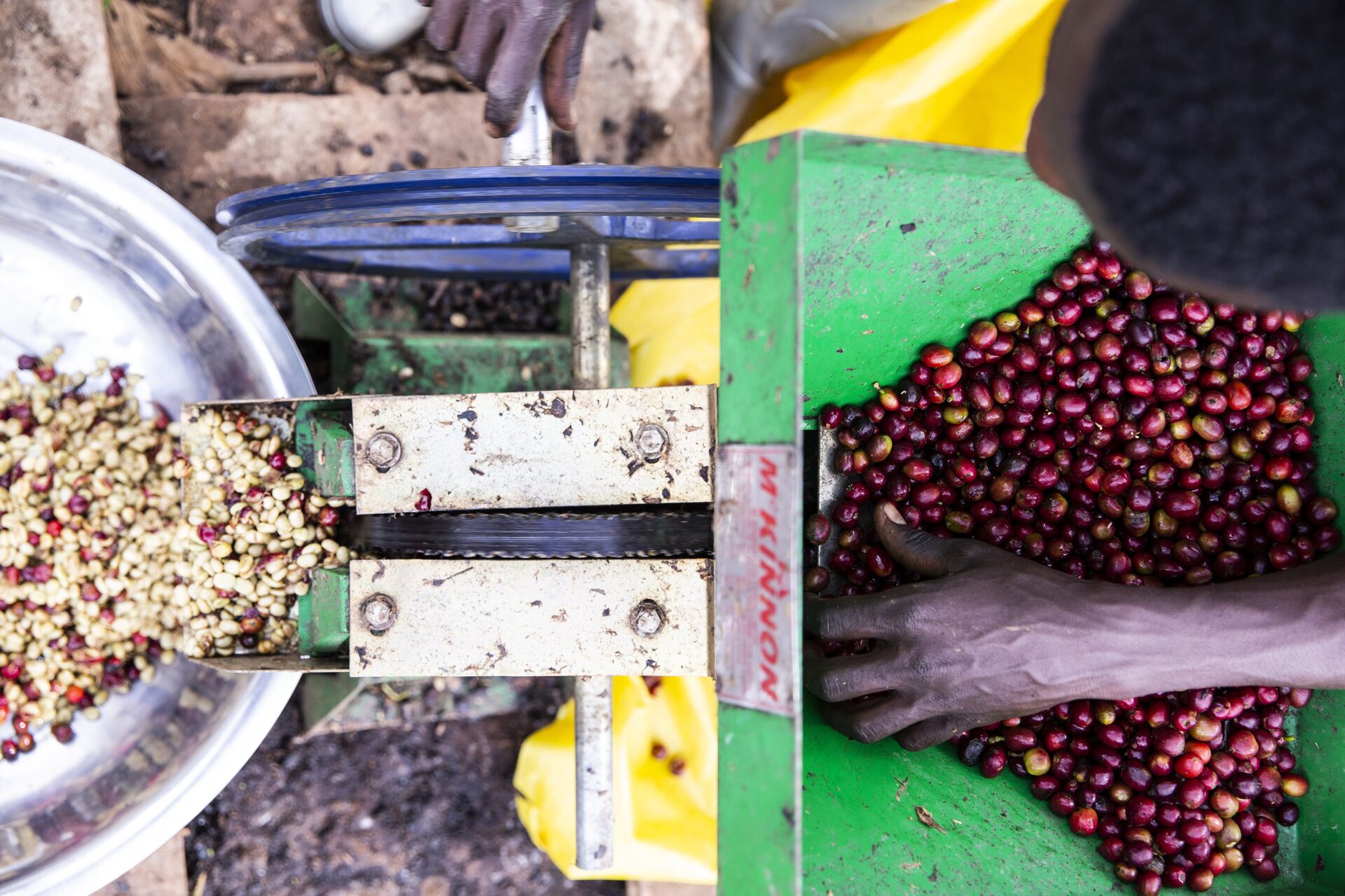 2018.12.11_Bonga_Negussie Tadesse-37.jpg