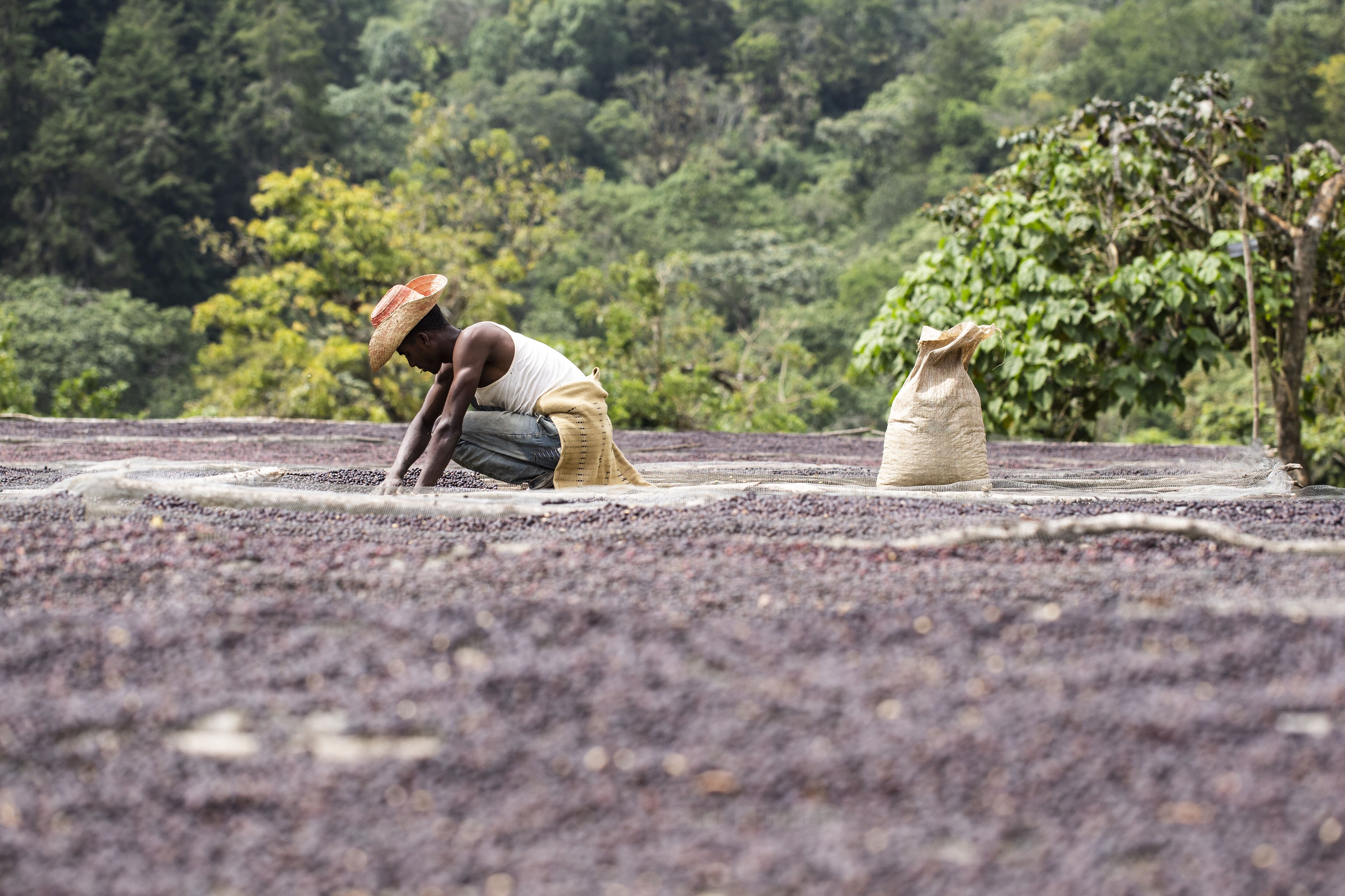 2018.12.11_Bonga_Negussie Tadesse-39.jpg