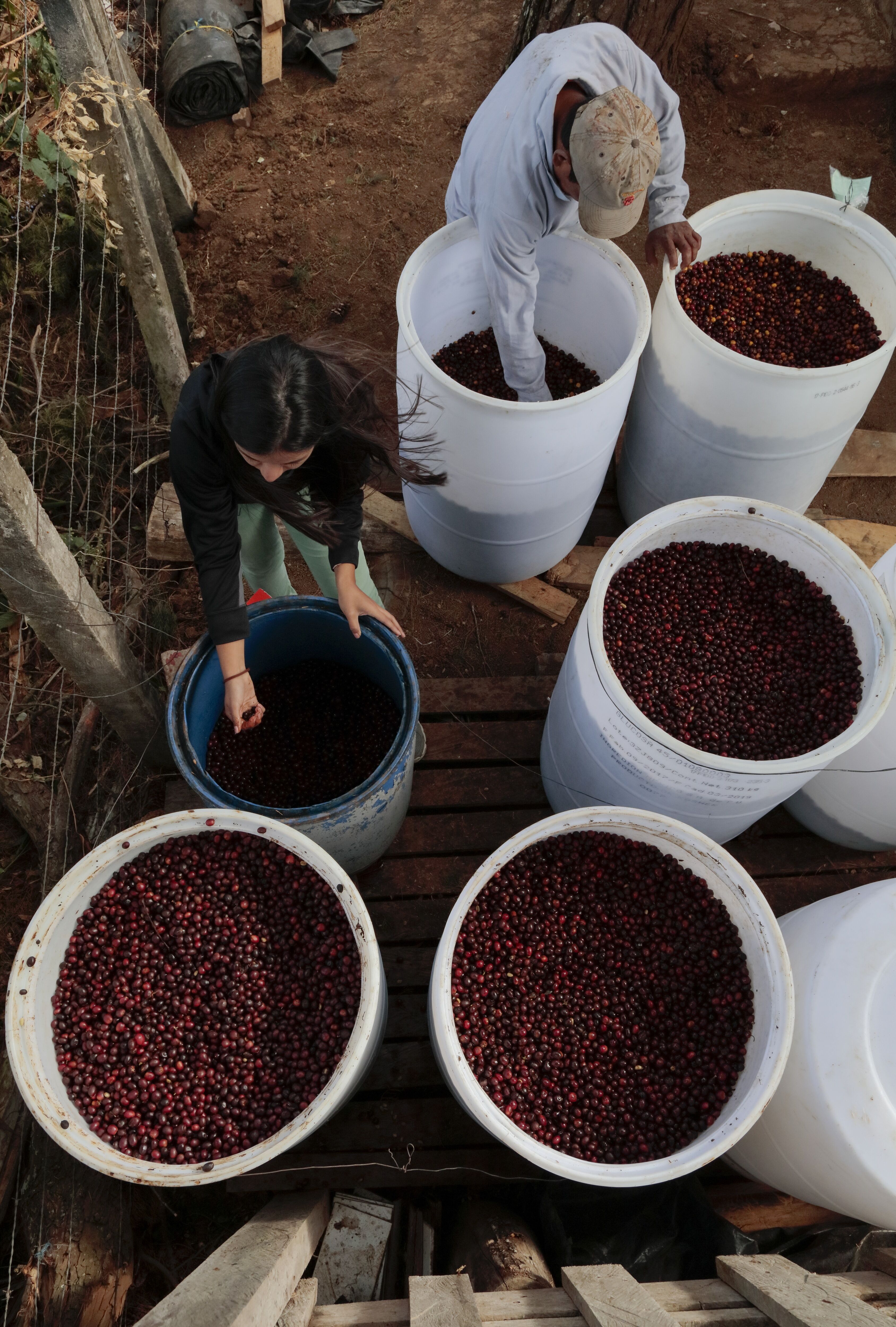 Copia de _Q0A6024_1.JPG