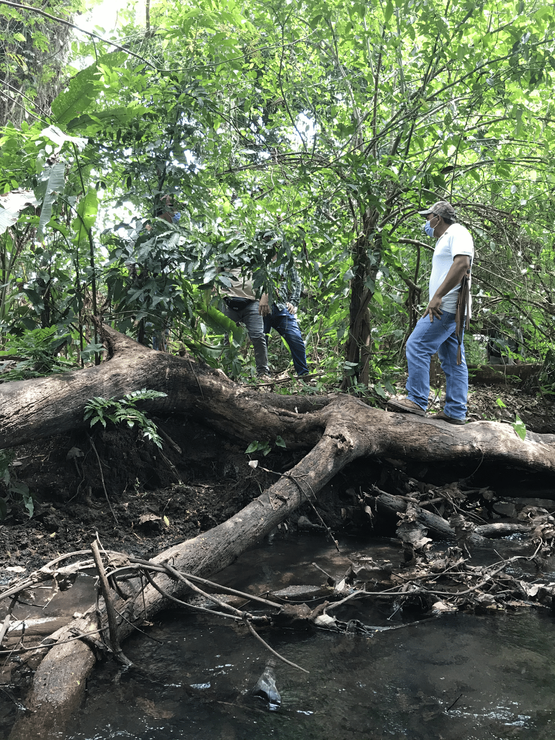 Parras Lempa (10).png
