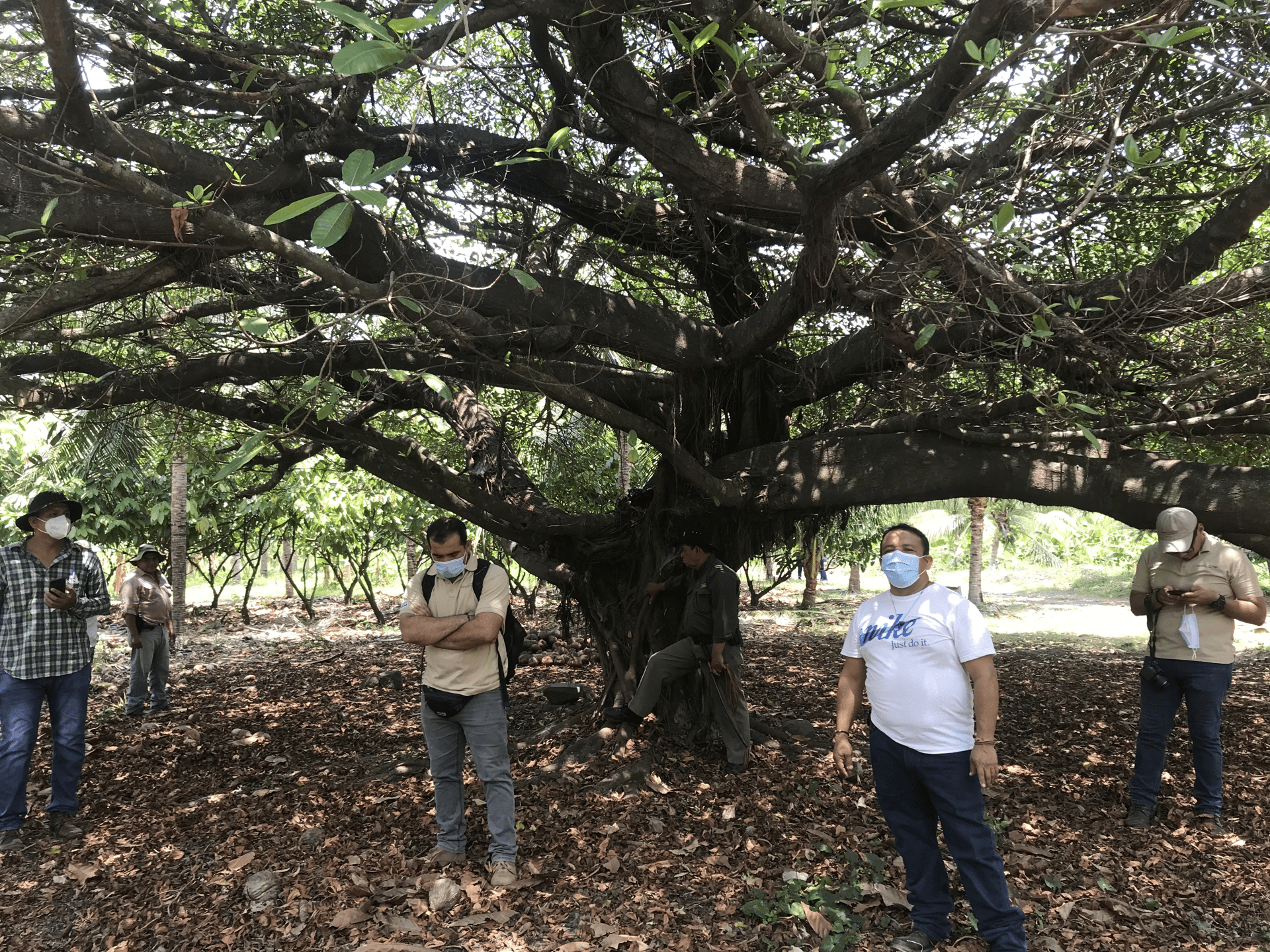 Parras Lempa (15).png