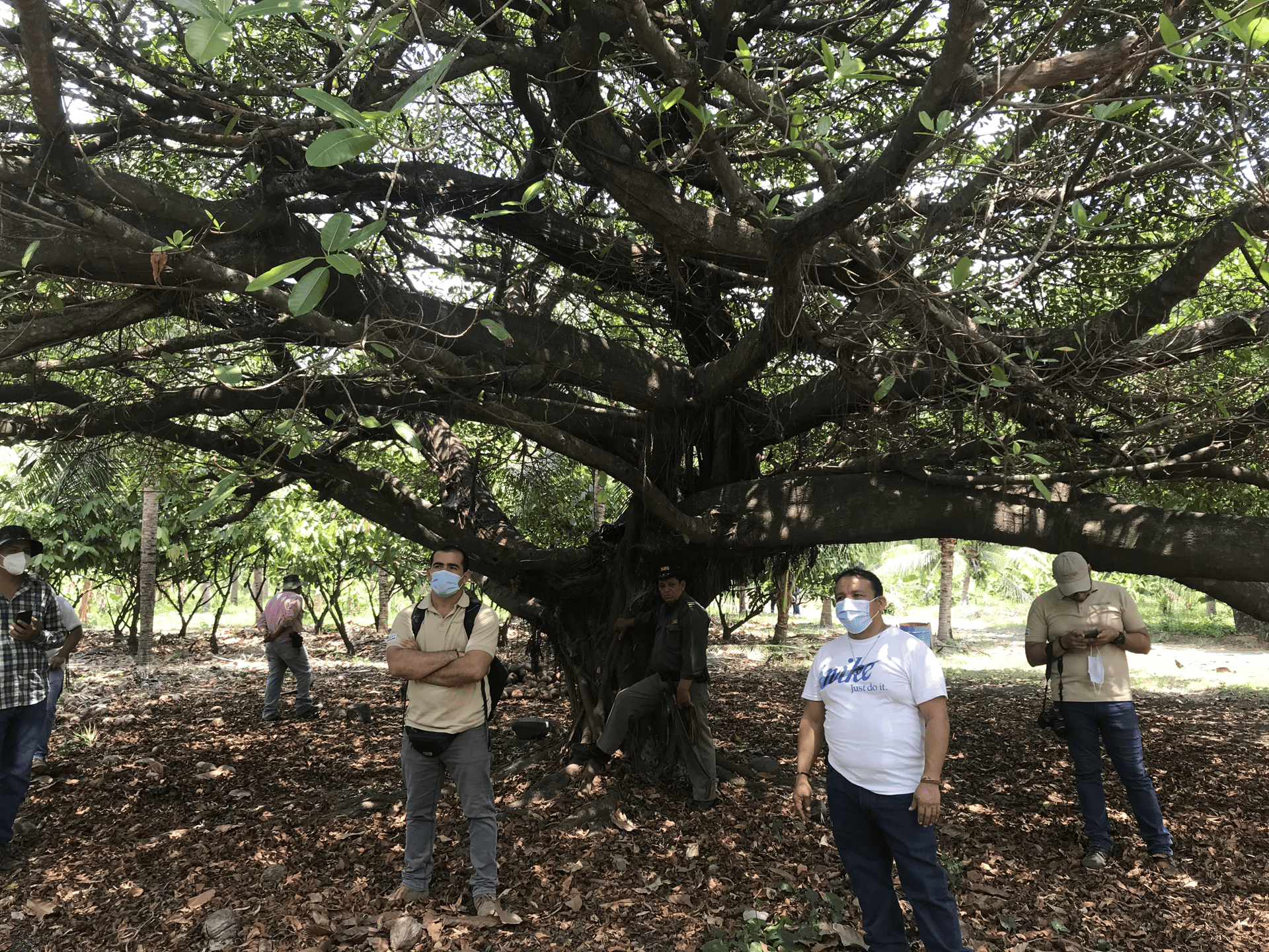Parras Lempa (16).png