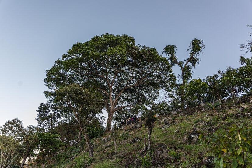 el copinol escondido (12).jpg