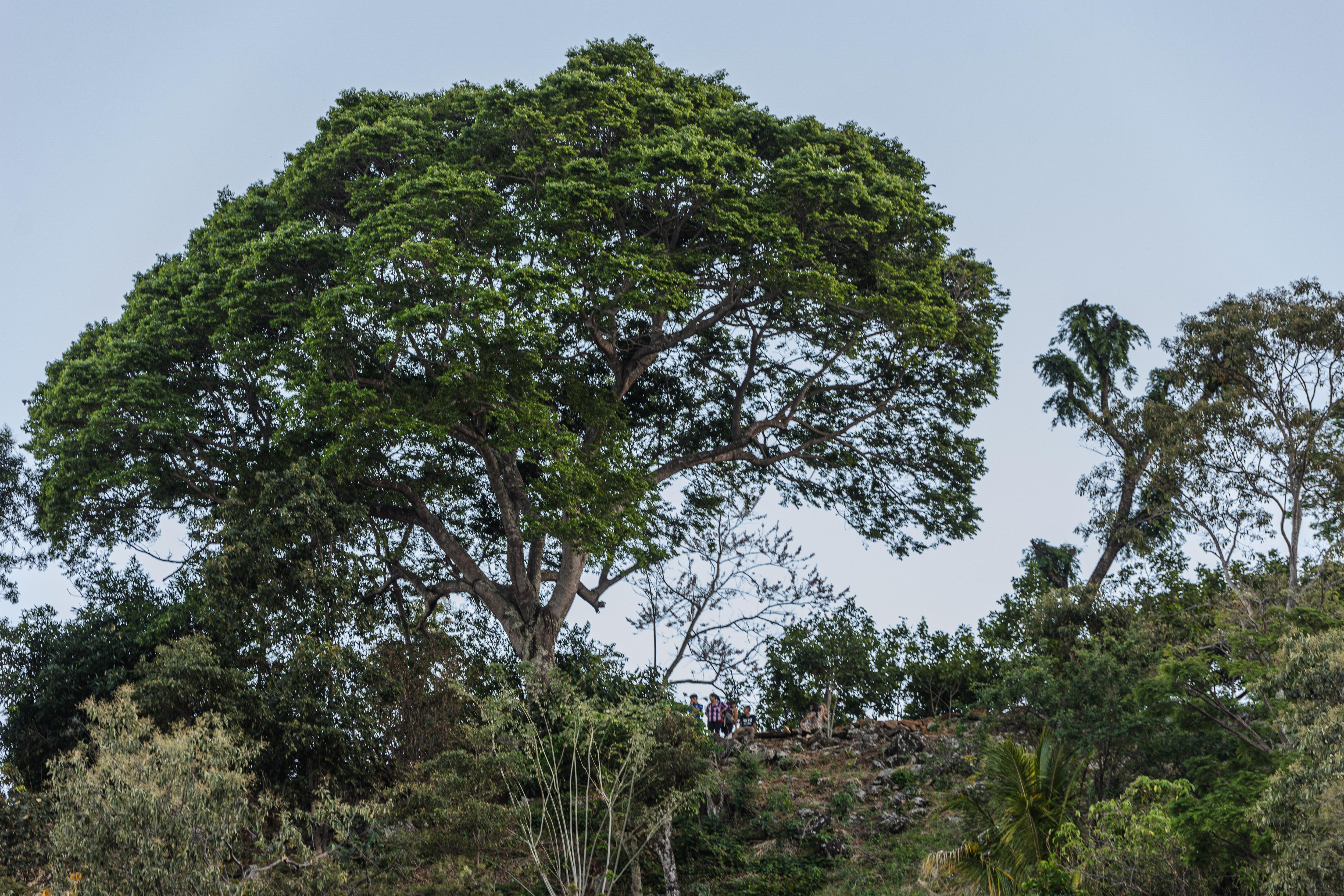 el copinol escondido (15).jpg