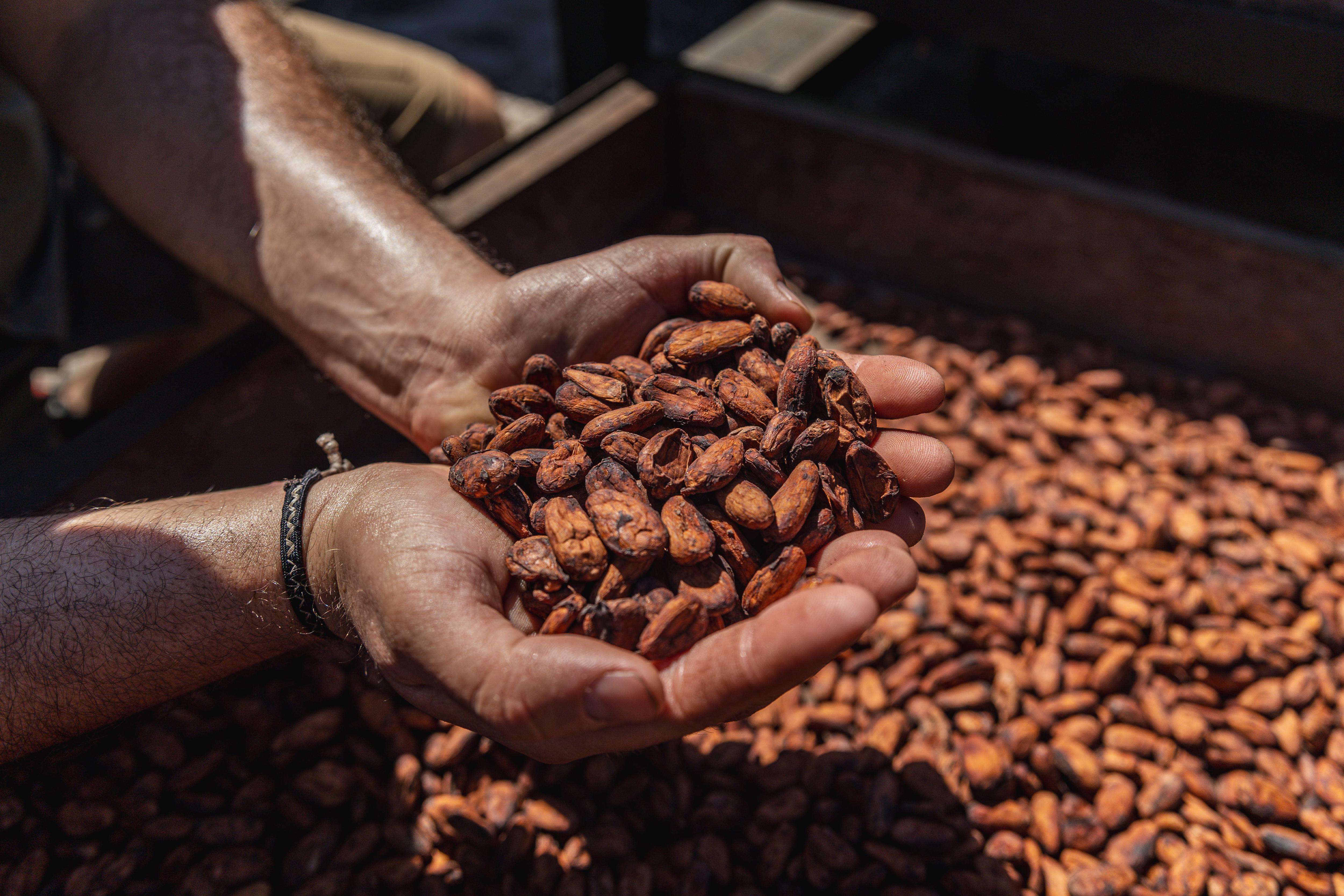 Hacienda La Carrera_25 (13).jpg