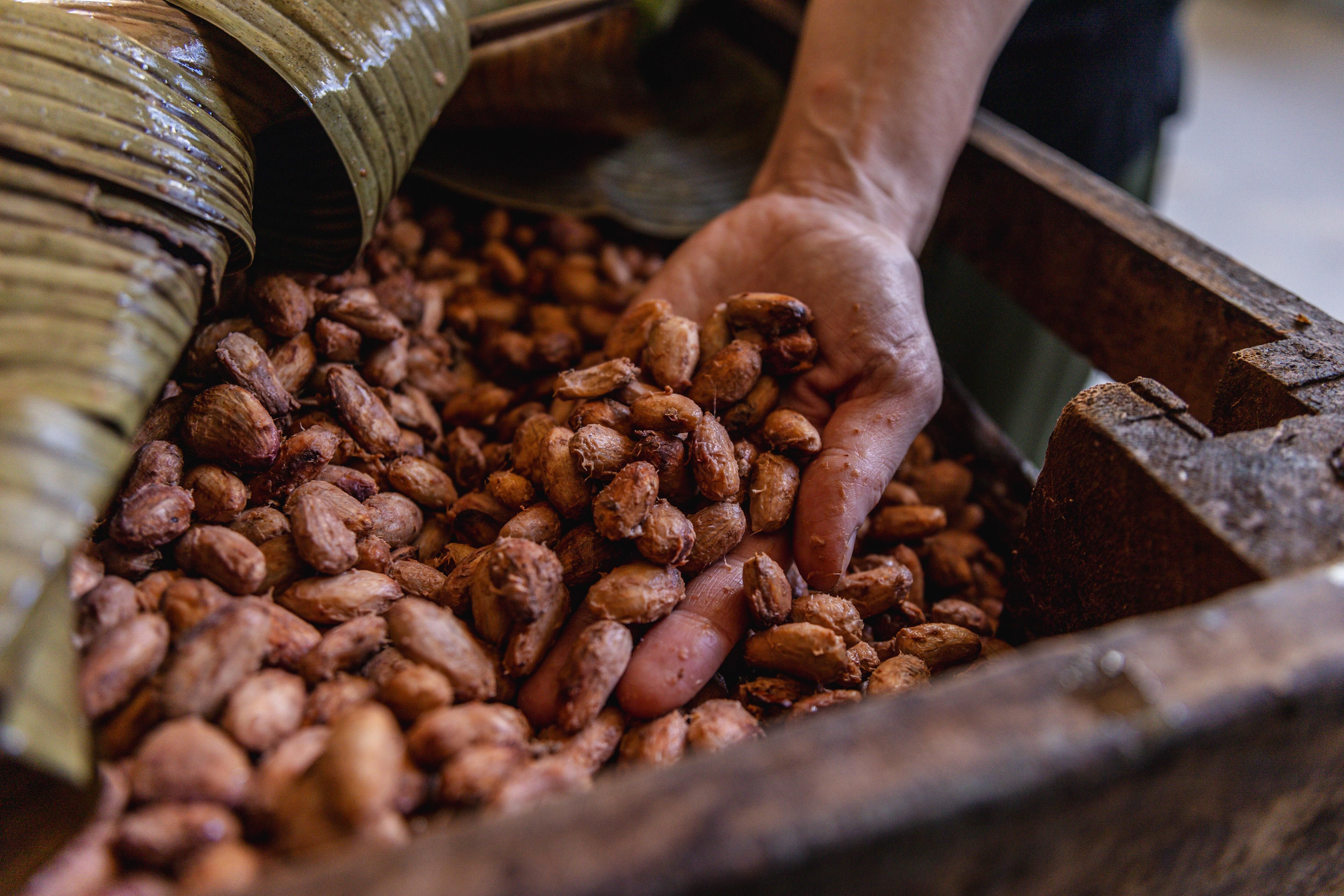 Hacienda La Carrera_25 (14).jpg