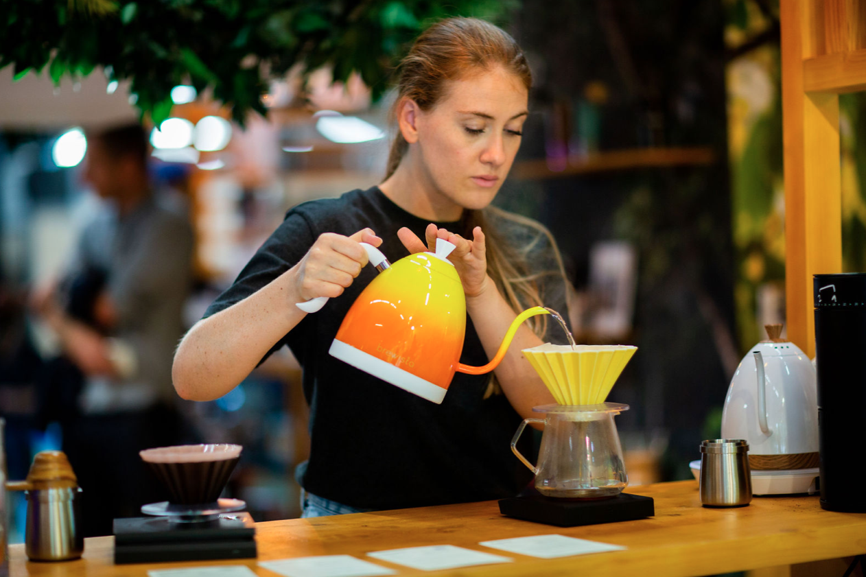 BREWISTA_BA10VKVDE-CO_AMB (3).png