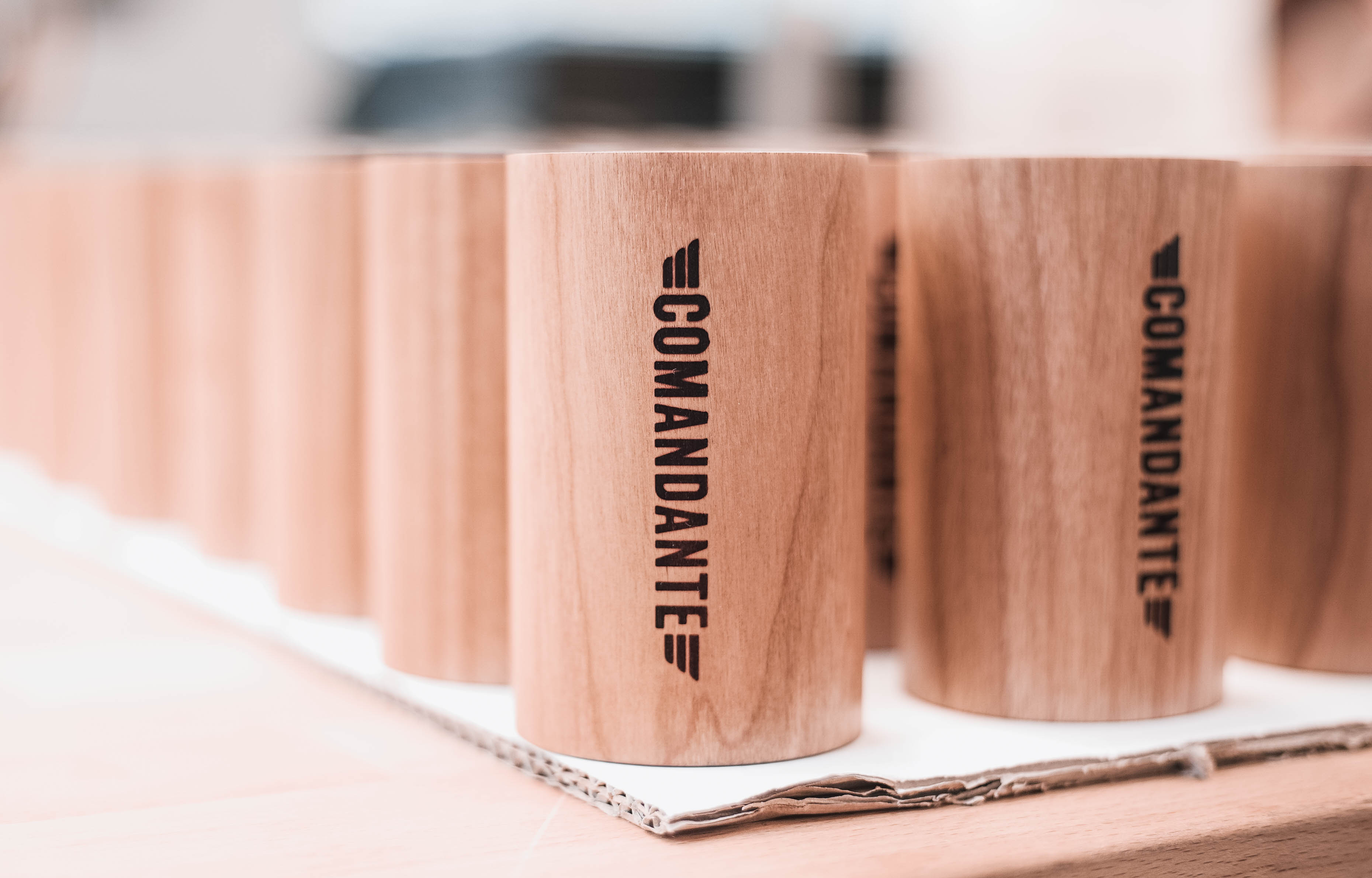 COMANDANTE_AMB (5).jpg