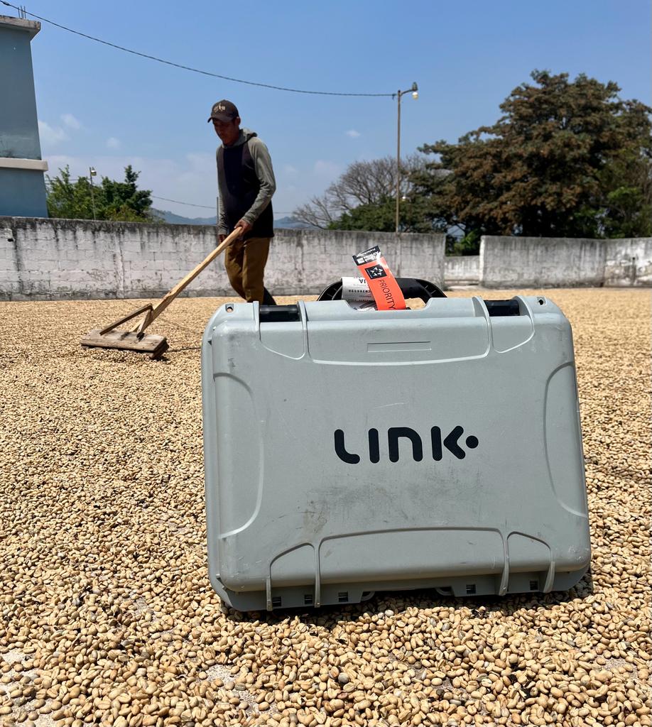 NUCLEUS_Link_Farm Drying bed.jpeg