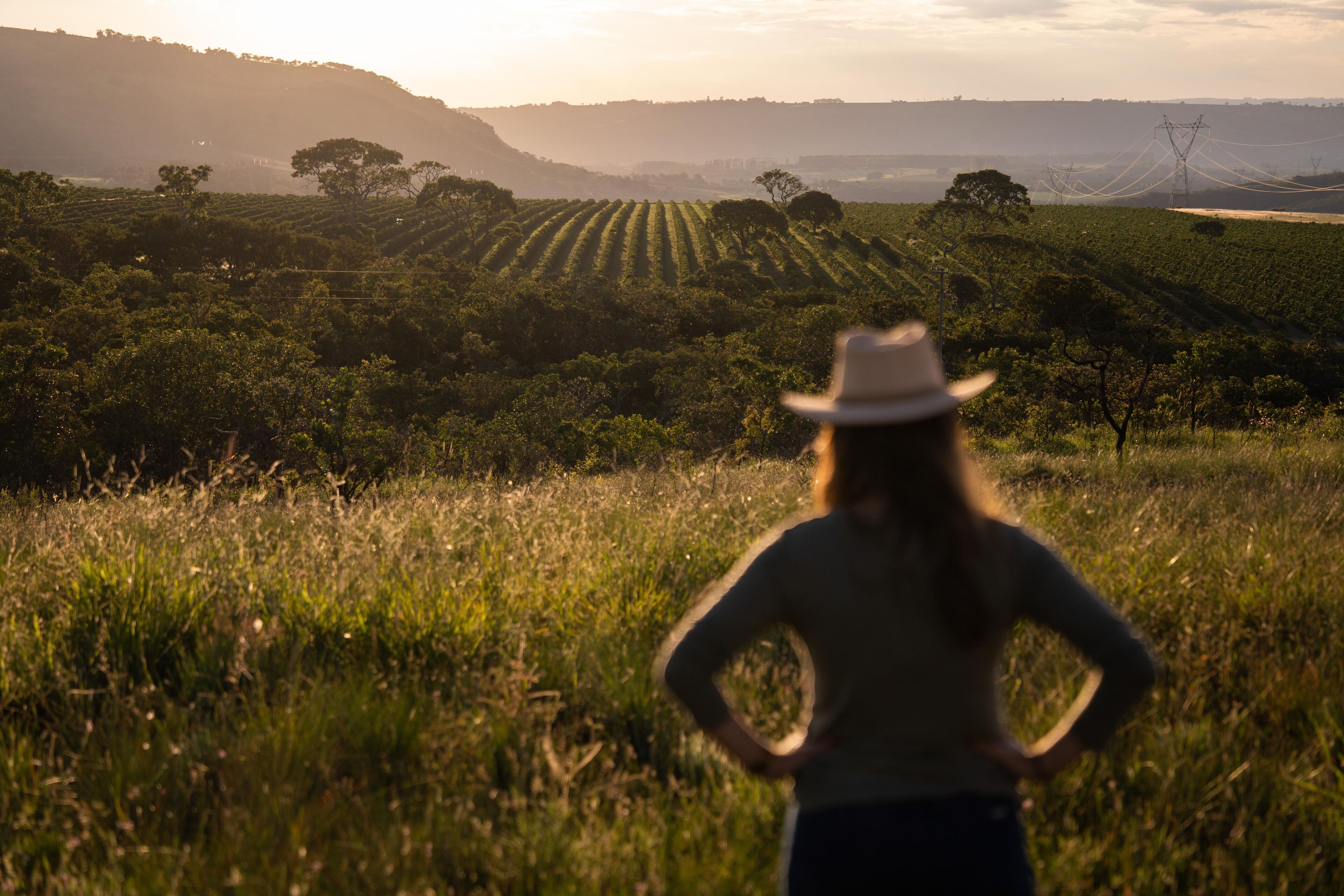 Photo of the producer