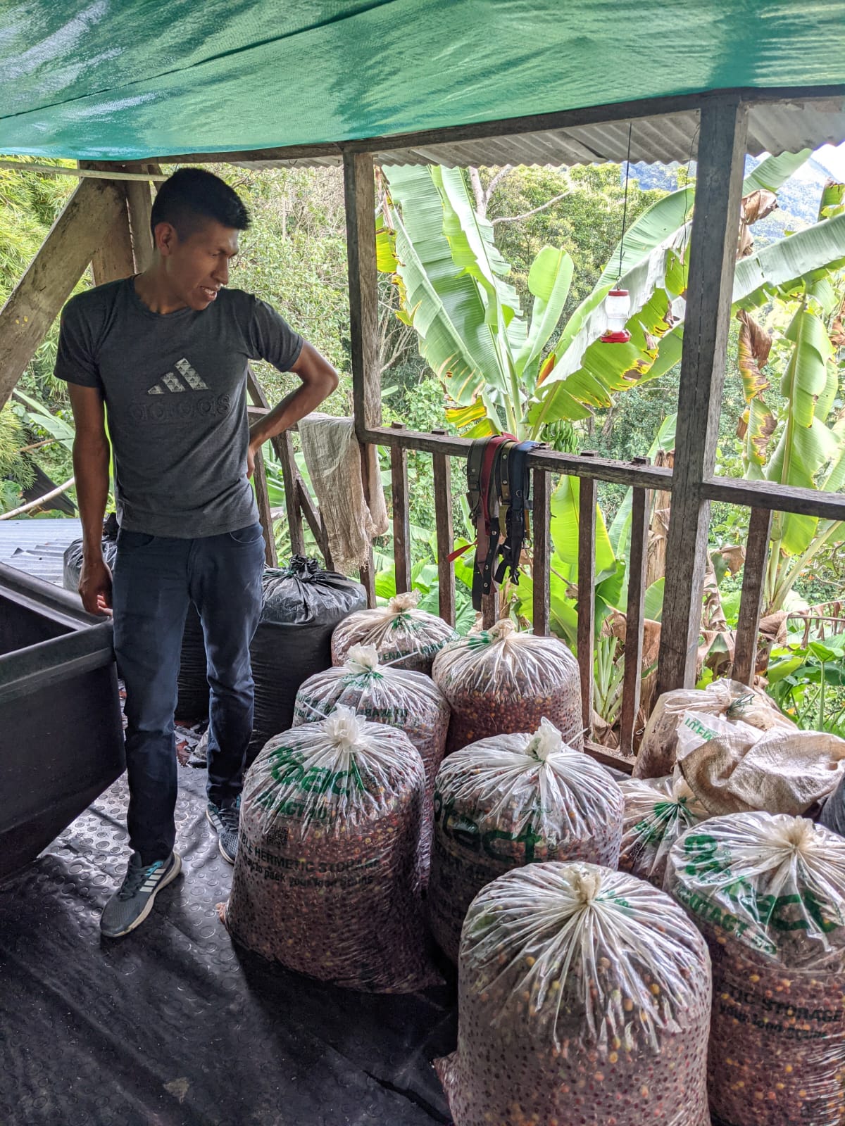 Foto des Produzenten