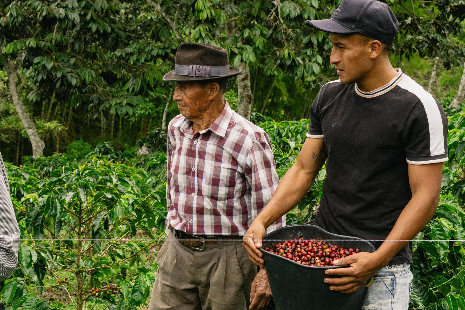 Complementariedad generacional Juan Bautista Narvaez Julio Cesar Sanchez.jpg