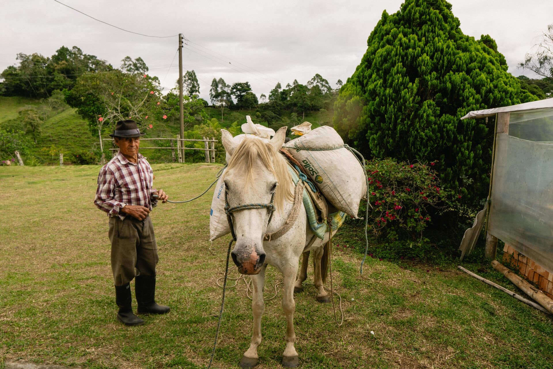 Juan Bautista Narvaez (1).jpg