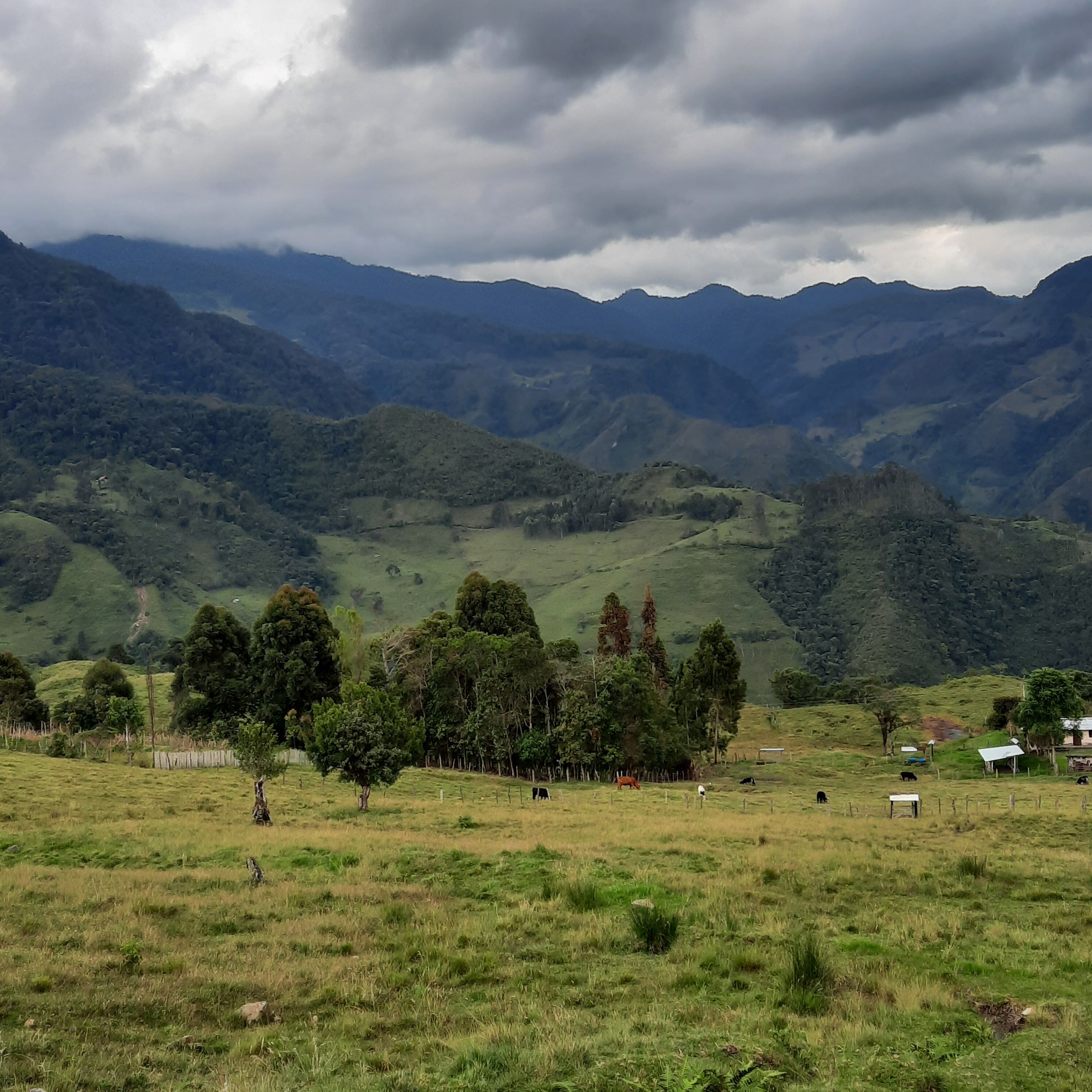 Foto des Produzenten