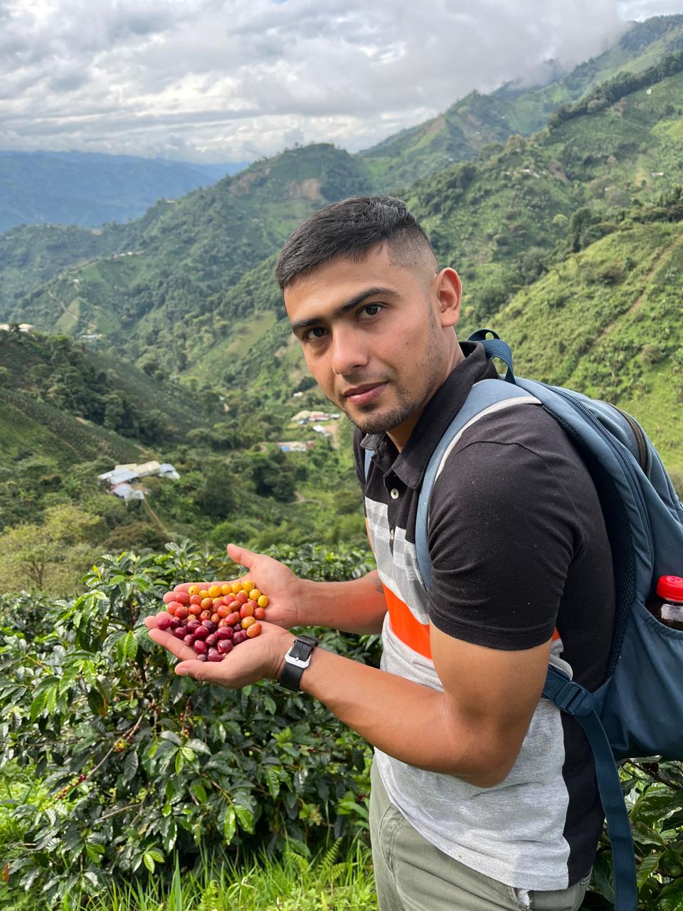 Foto des Produzenten