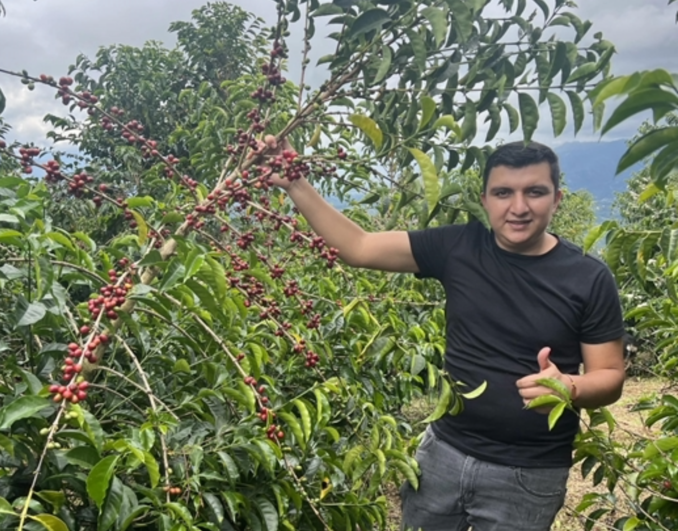 Foto des Produzenten