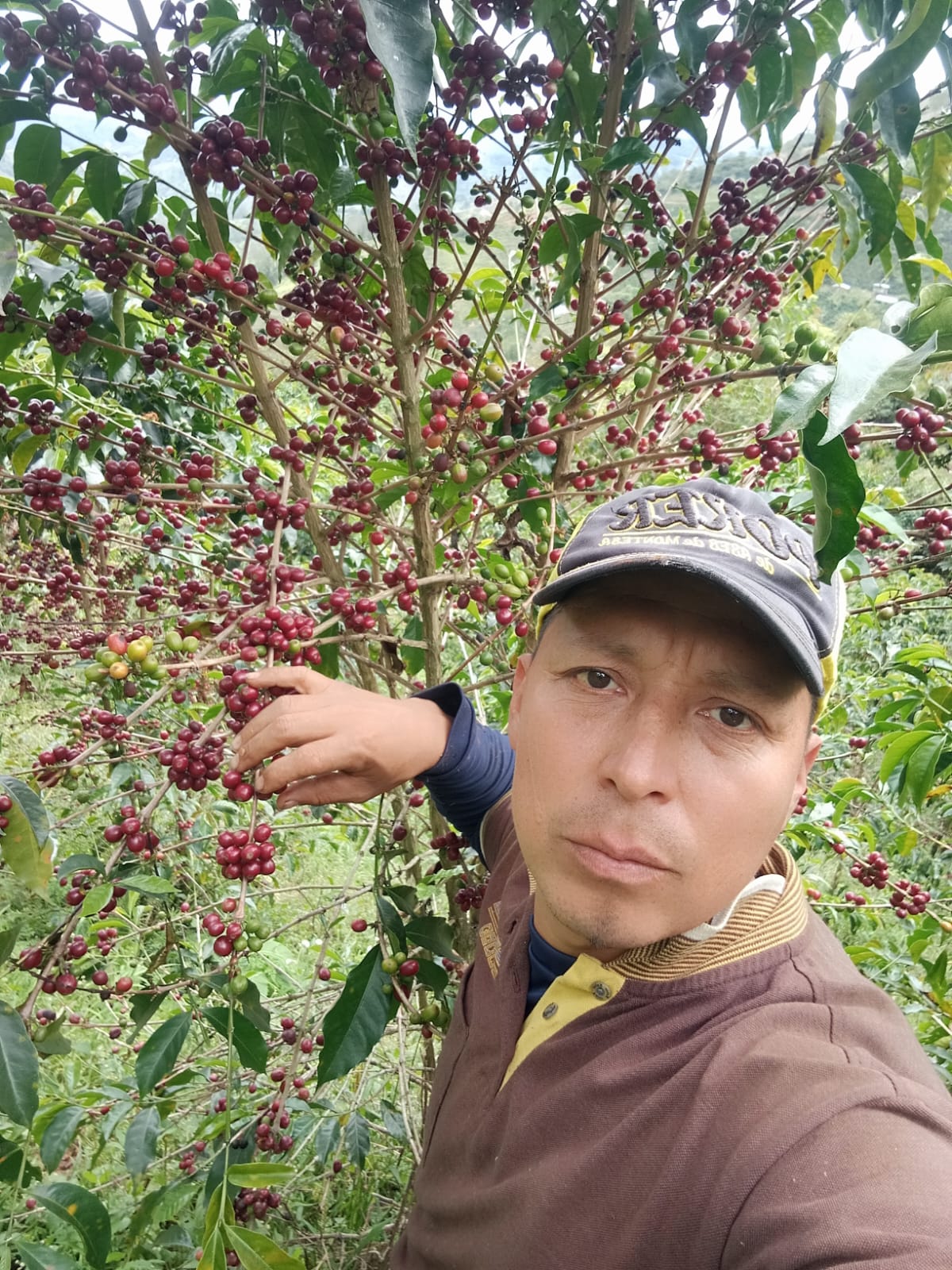 Foto des Produzenten