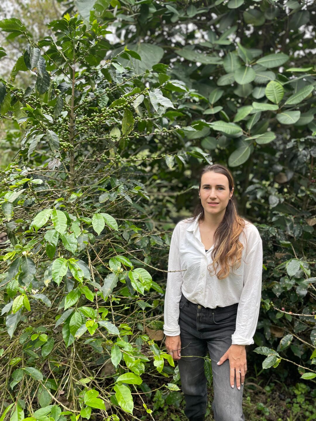 Imagen de WhatsApp 2025-02-07 a las 12.01.10_c4a7b40d.jpg