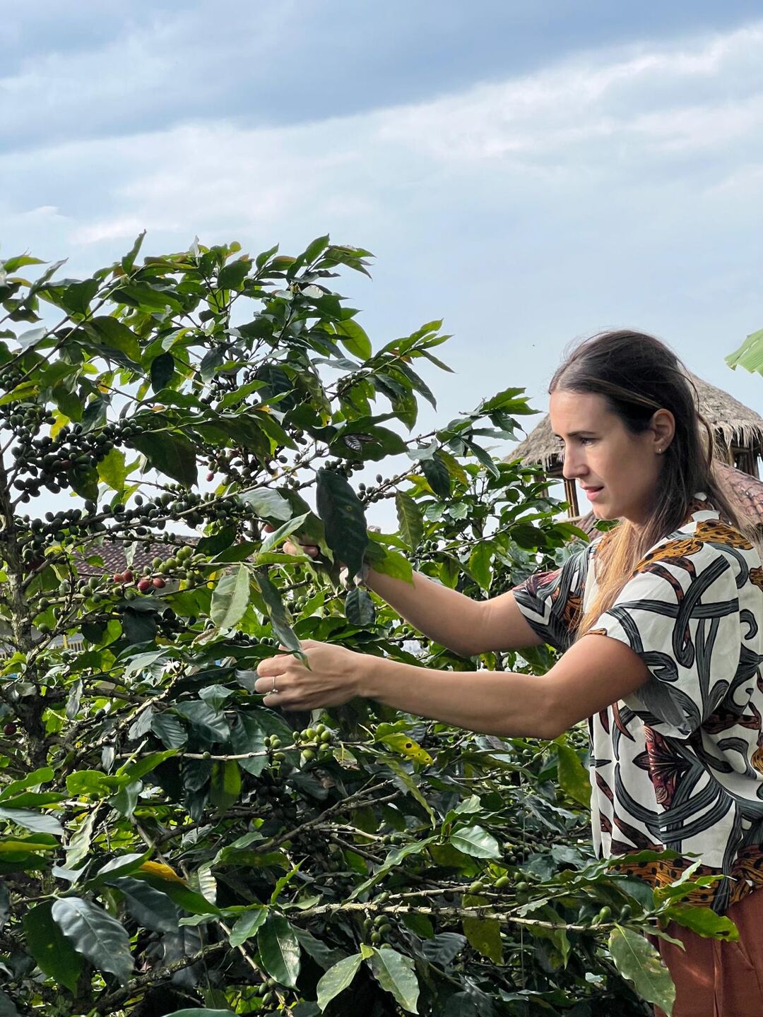 Imagen de WhatsApp 2025-02-07 a las 14.46.18_436c25b1.jpg