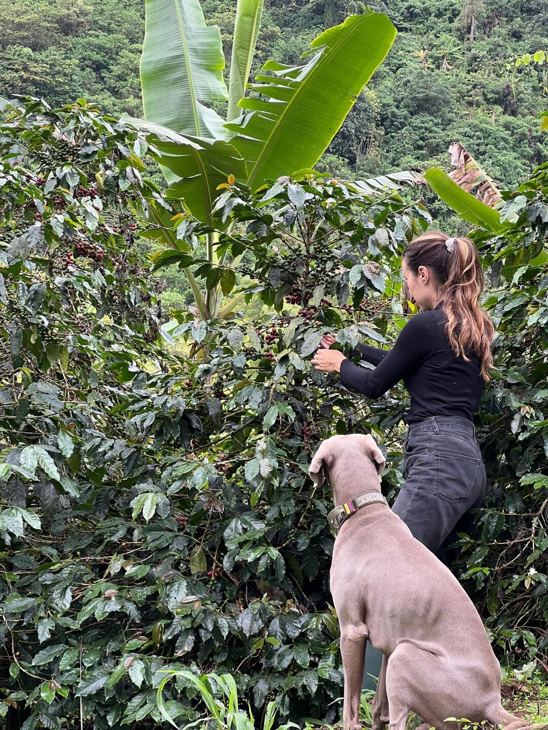 Imagen de WhatsApp 2025-02-07 a las 14.46.18_e461595c.jpg