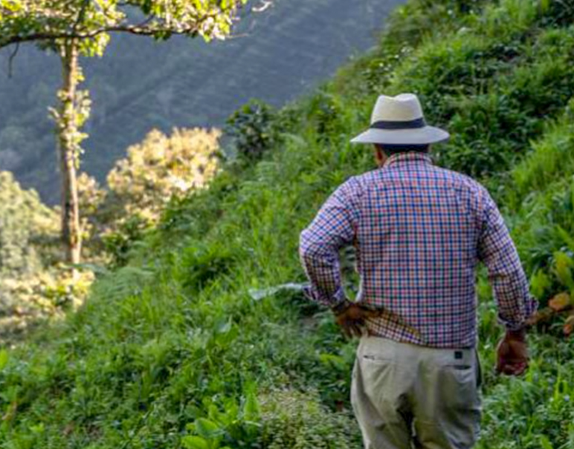 Edilberto Vergara.png