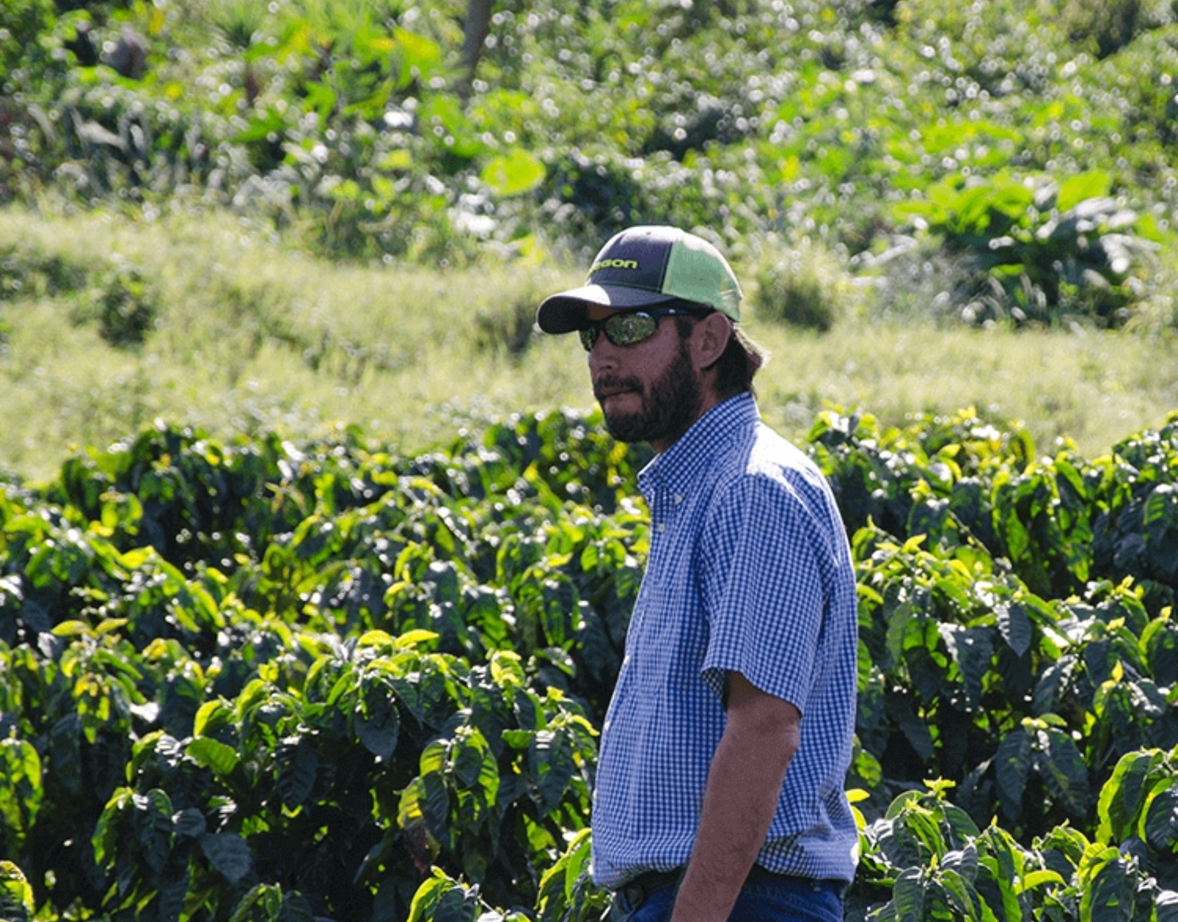 Photo of the producer