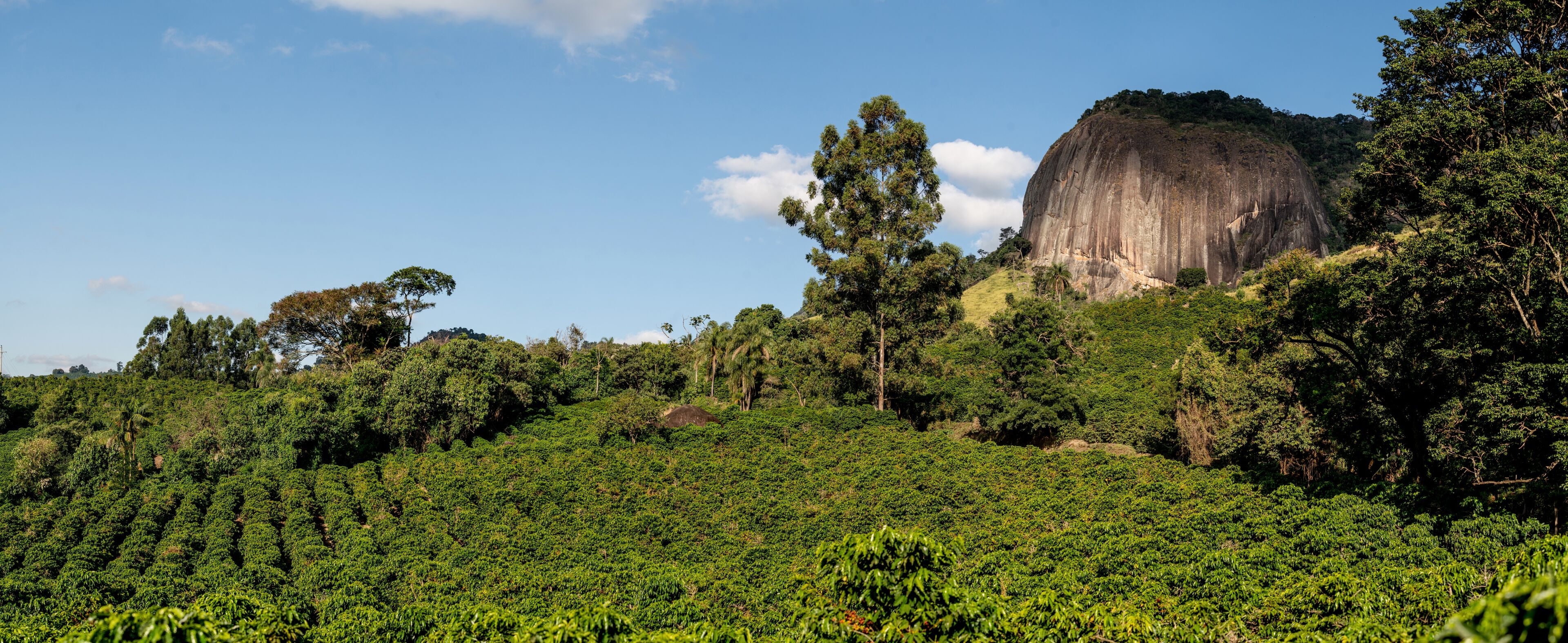 Minas Gerais