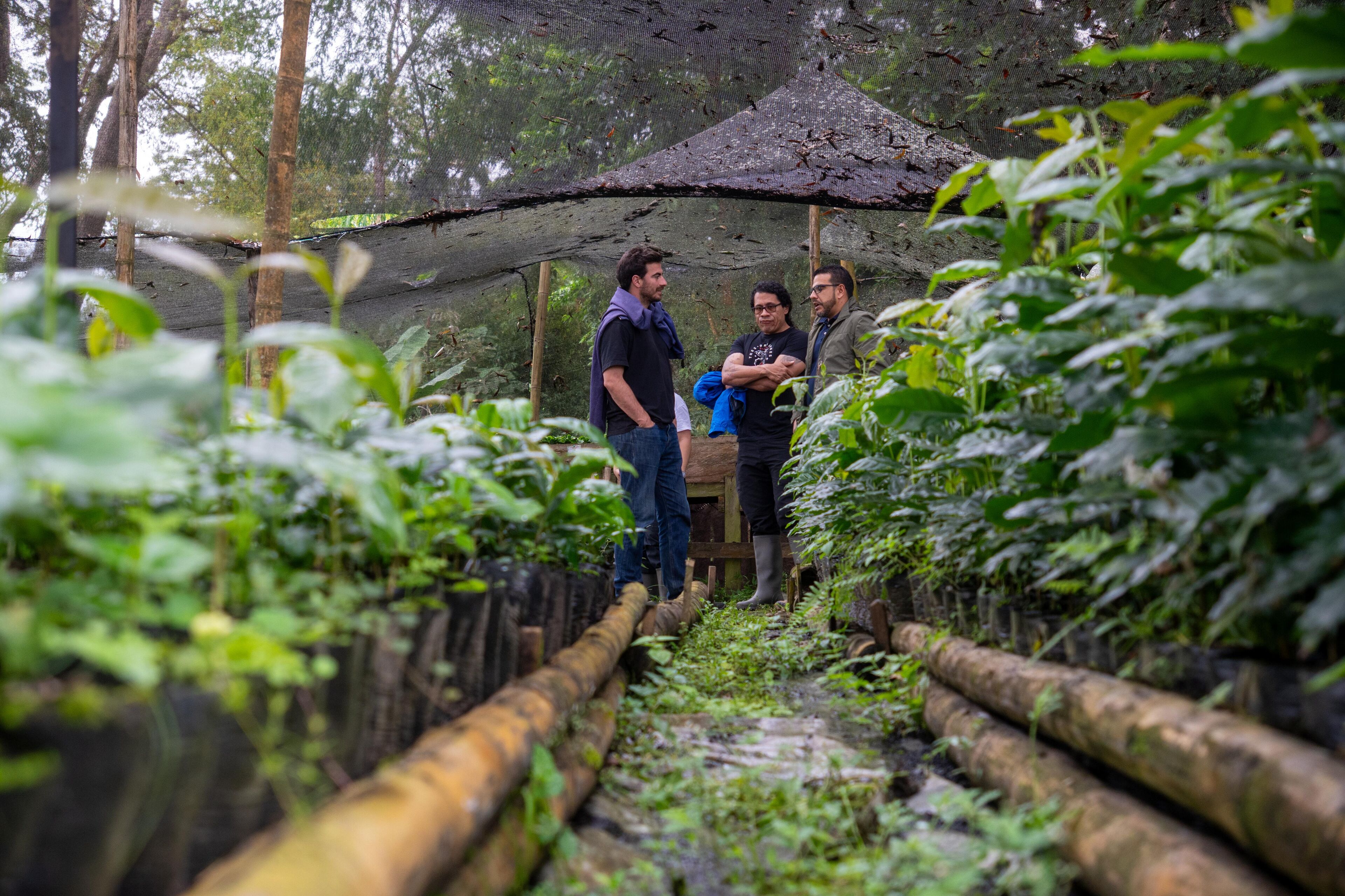 Hacienda Misiones
